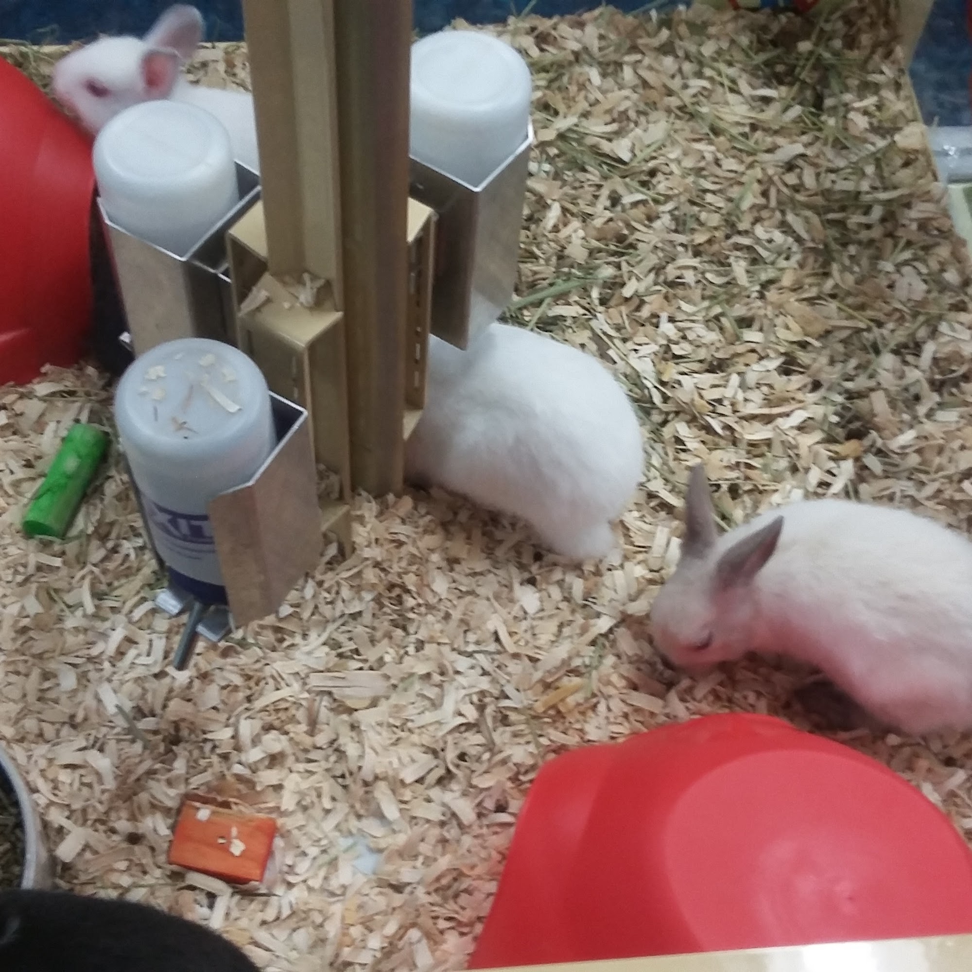 Pet Supermarket Marietta