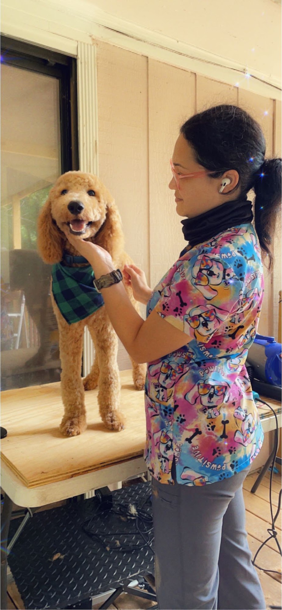 Kiki's Pets Boutique Marietta