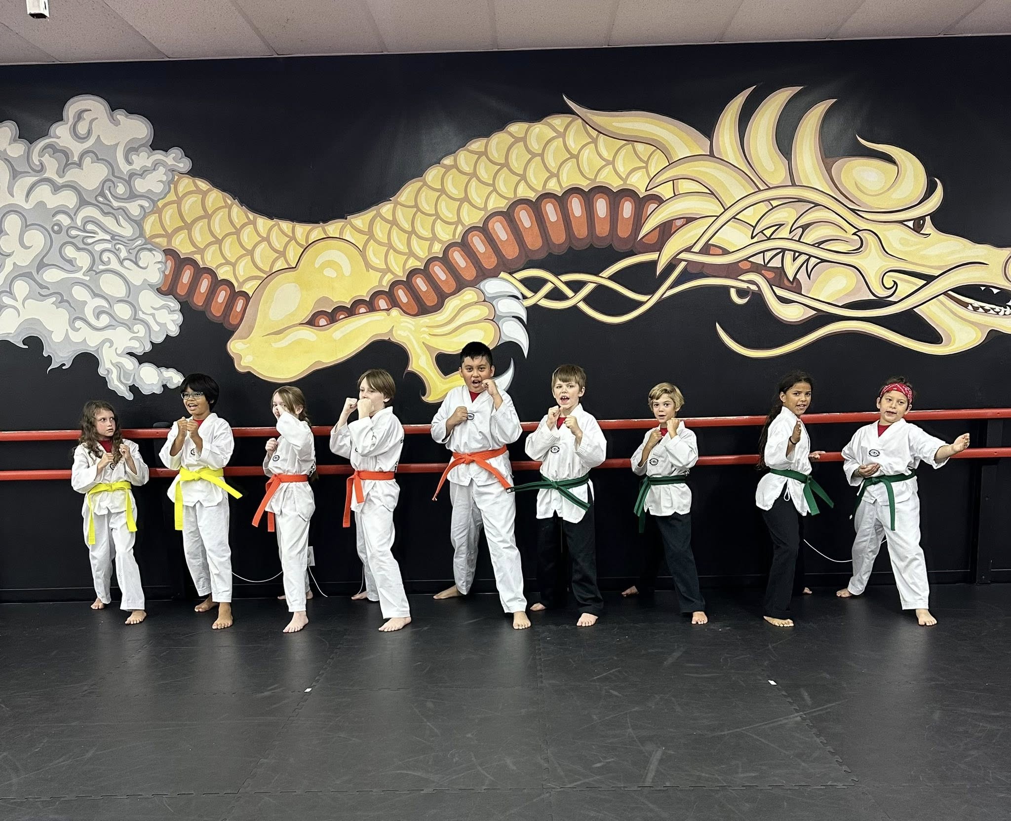 Iron Dragon Martial Arts 3372 Canton Rd #138, Marietta, GA 30066