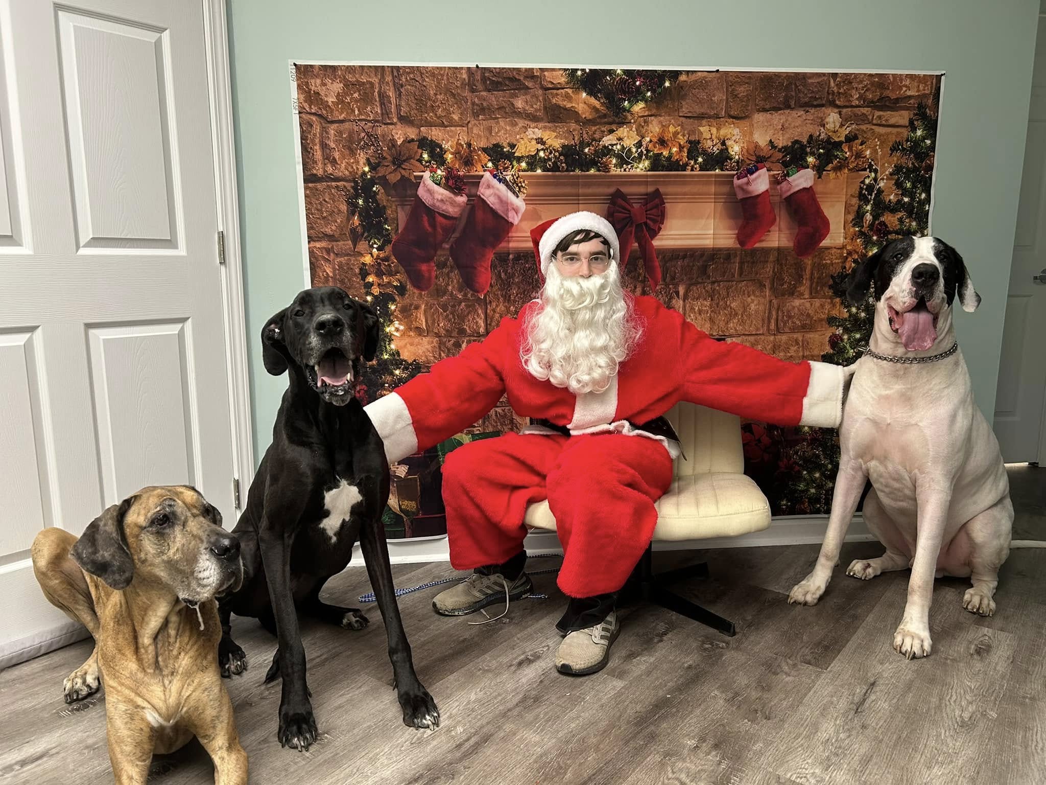 Miller Vet Play and Stay Marietta