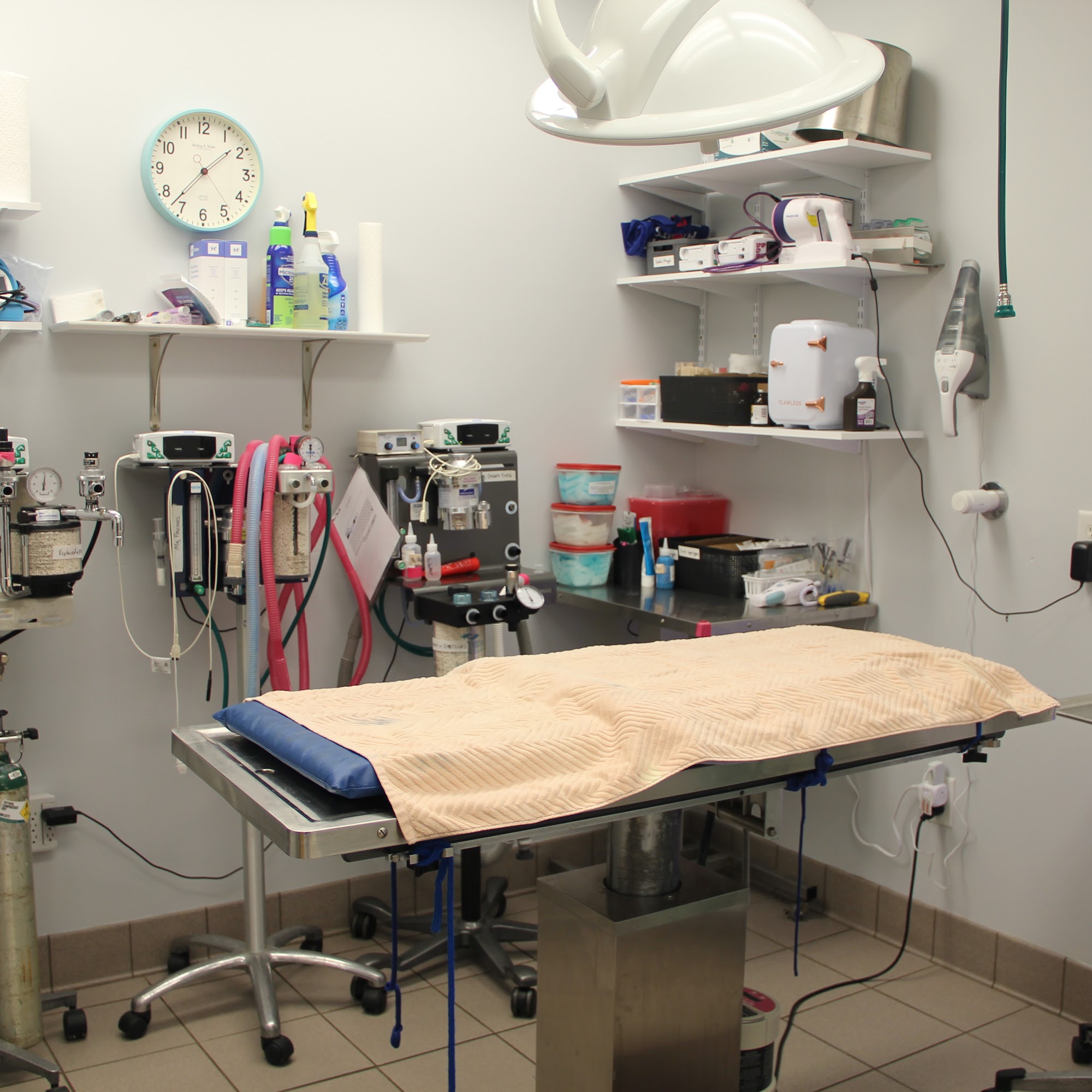 Care More Animal Hospital Martinez