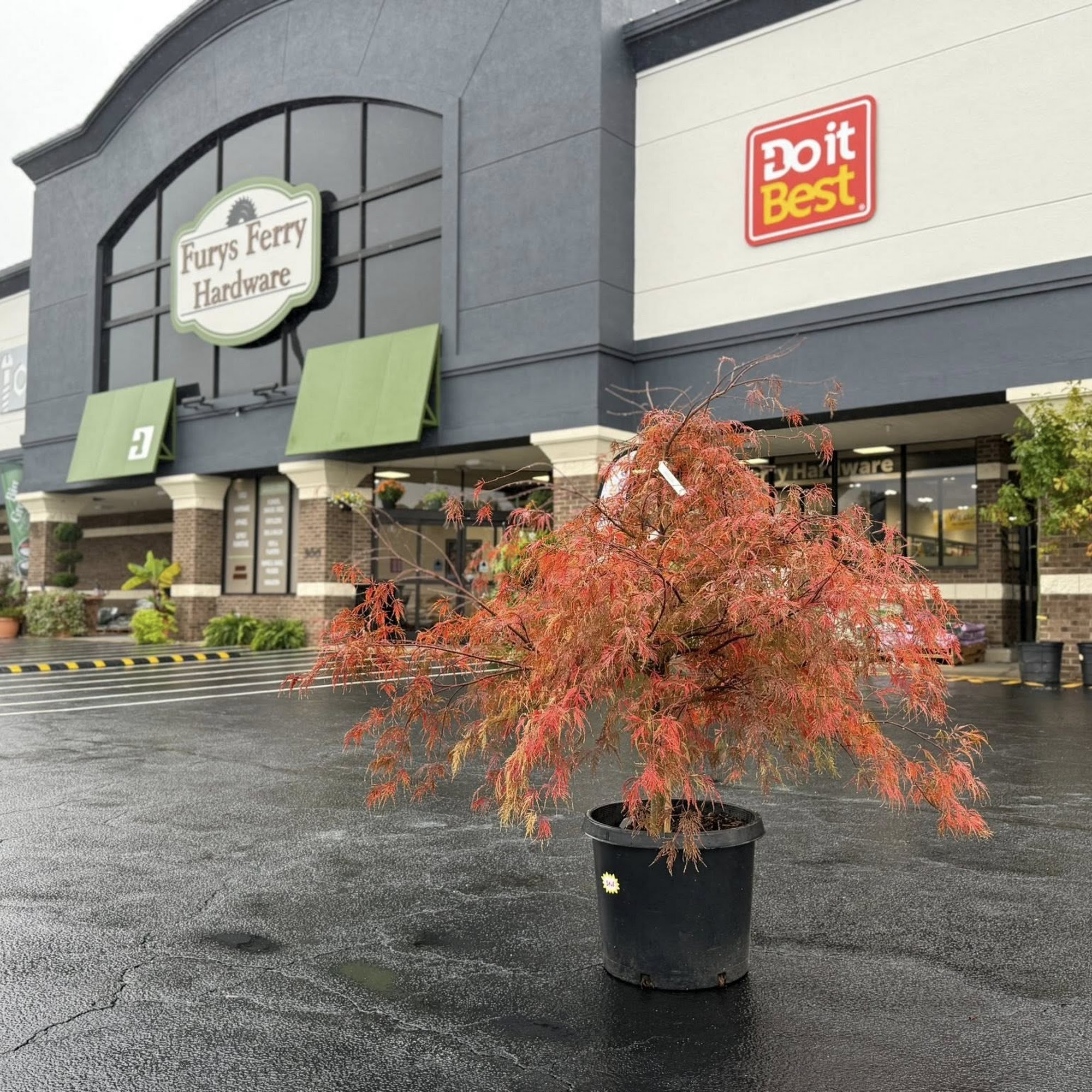 Furys Ferry Hardware & Garden Center