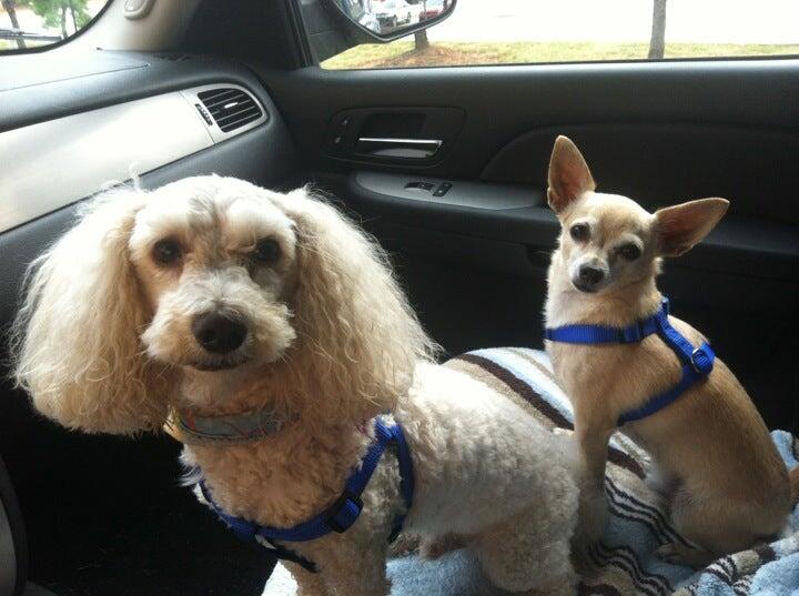 Photo credit: nextdoor
