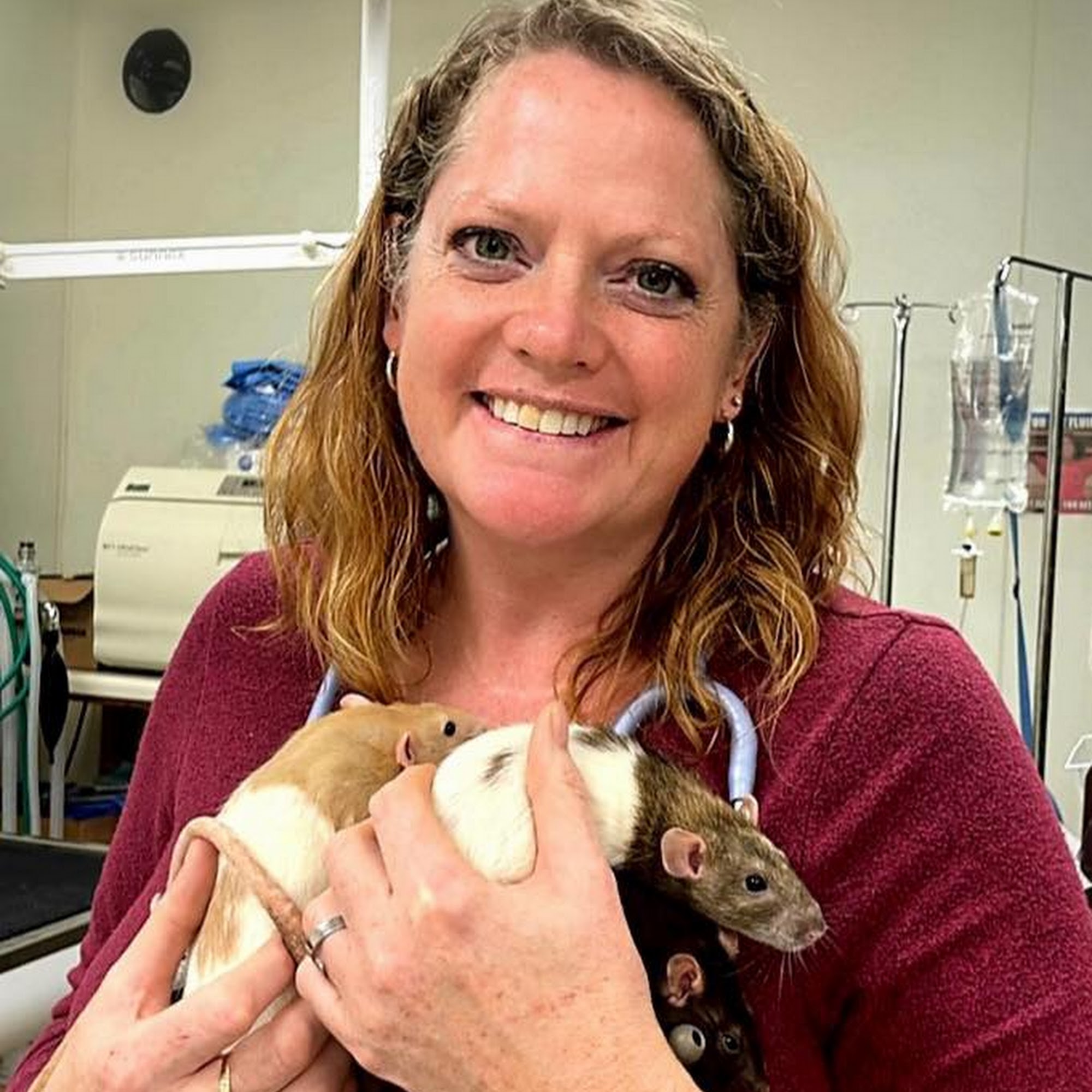 McDonough Animal Hospital McDonough