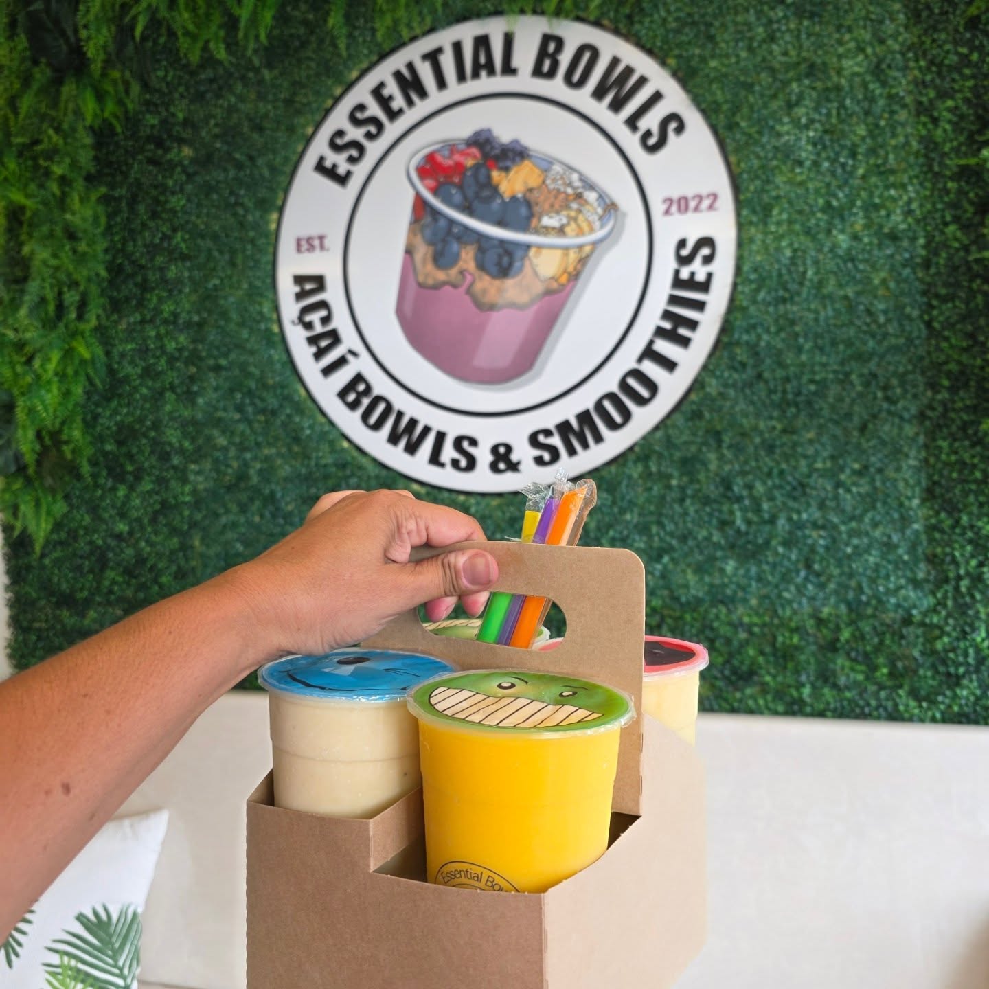 Essential Bowls McDonough McDonough