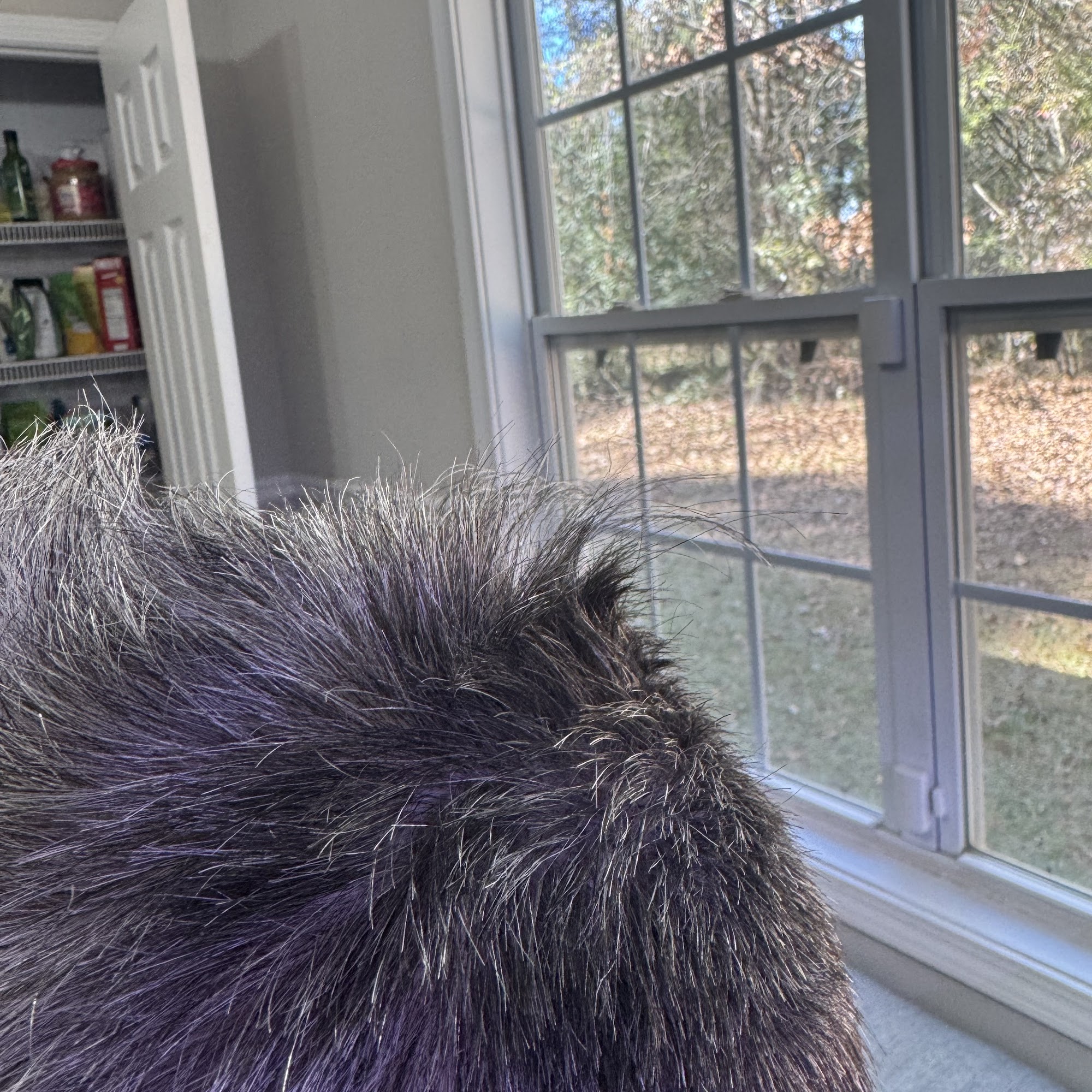 The Executive Barber Lounge 600 Westridge Pkwy suite 701, McDonough Georgia 30253