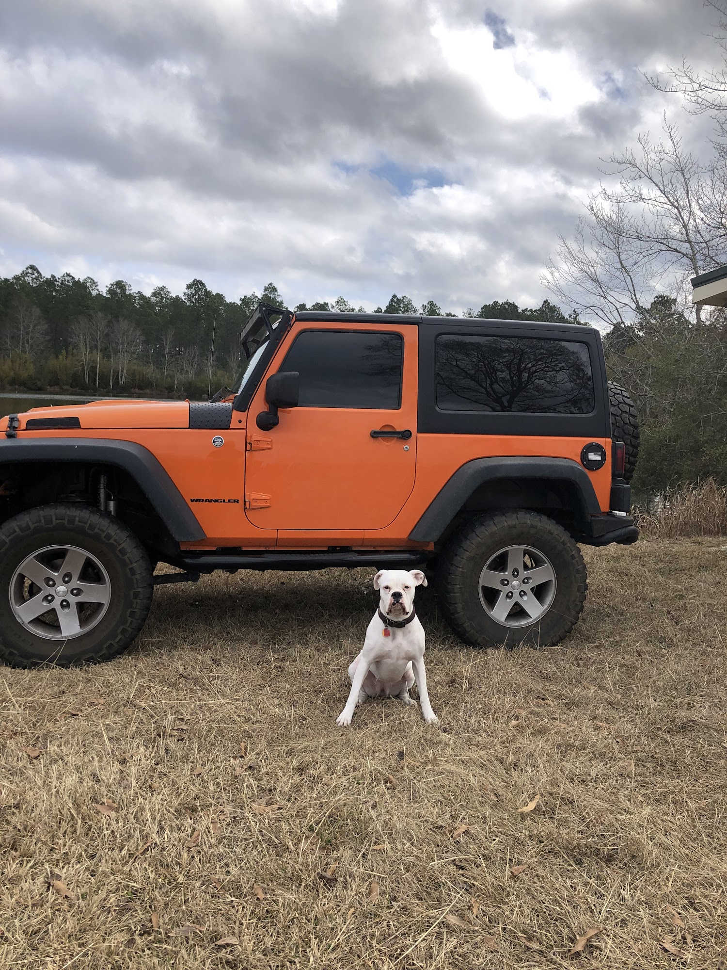 Countryside Veterinary Clinic McRae-Helena