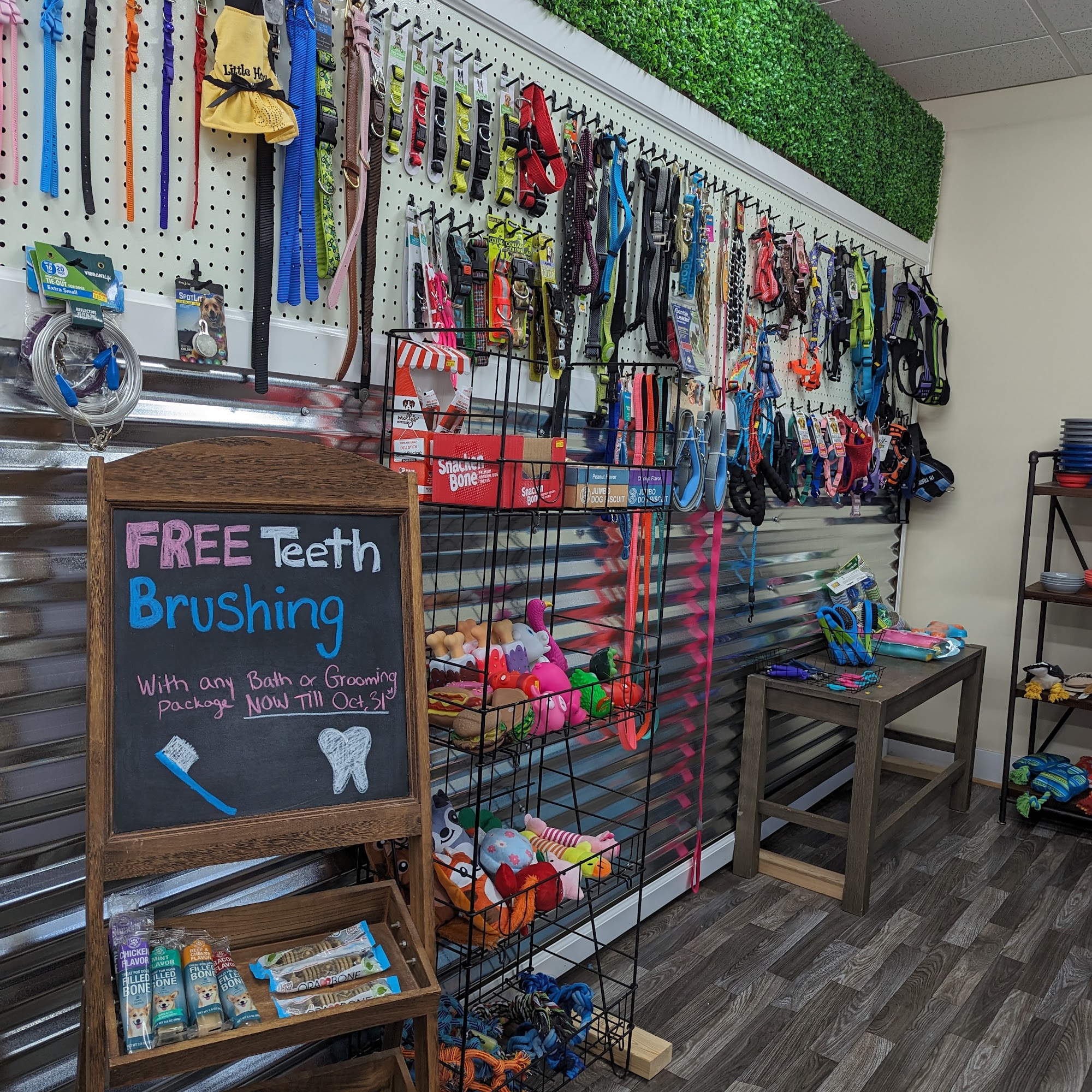 Pampered Pals Pet Spa & Resort Metter