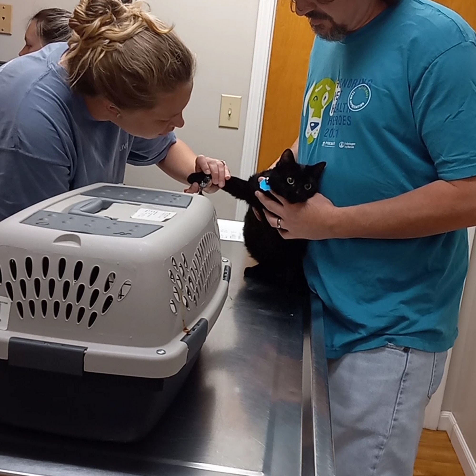 Animal Hospital-Milledgeville Milledgeville