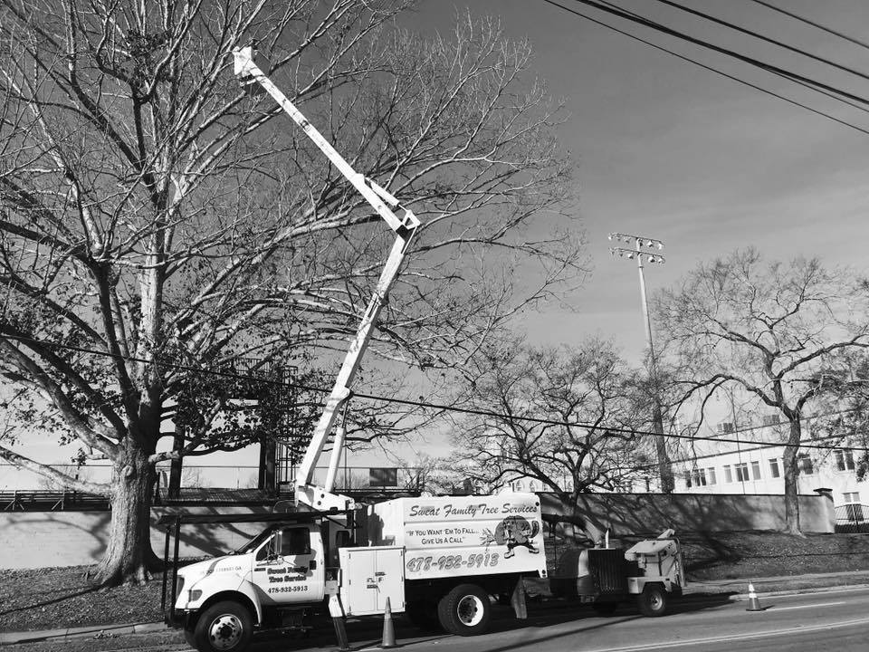 Sweat Family TREE Services