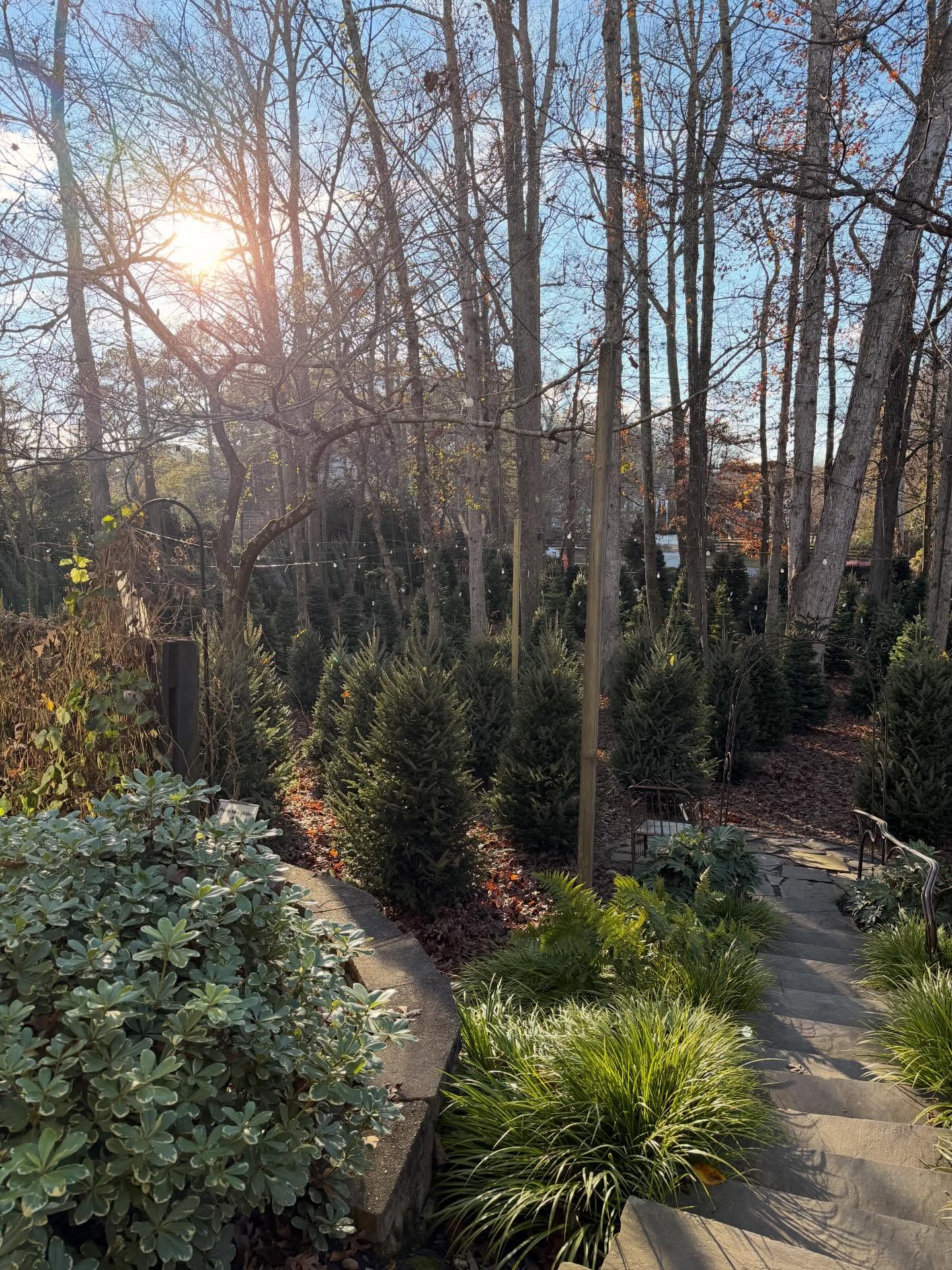 Scottsdale Farms Garden Center Milton