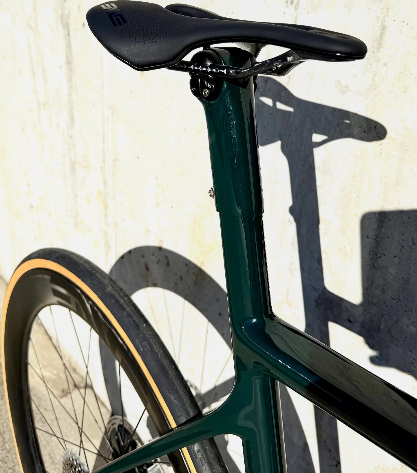 Whitetail Bicycles Milton