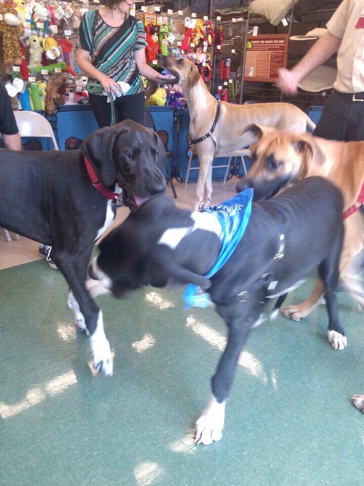 Petco Grooming Milton