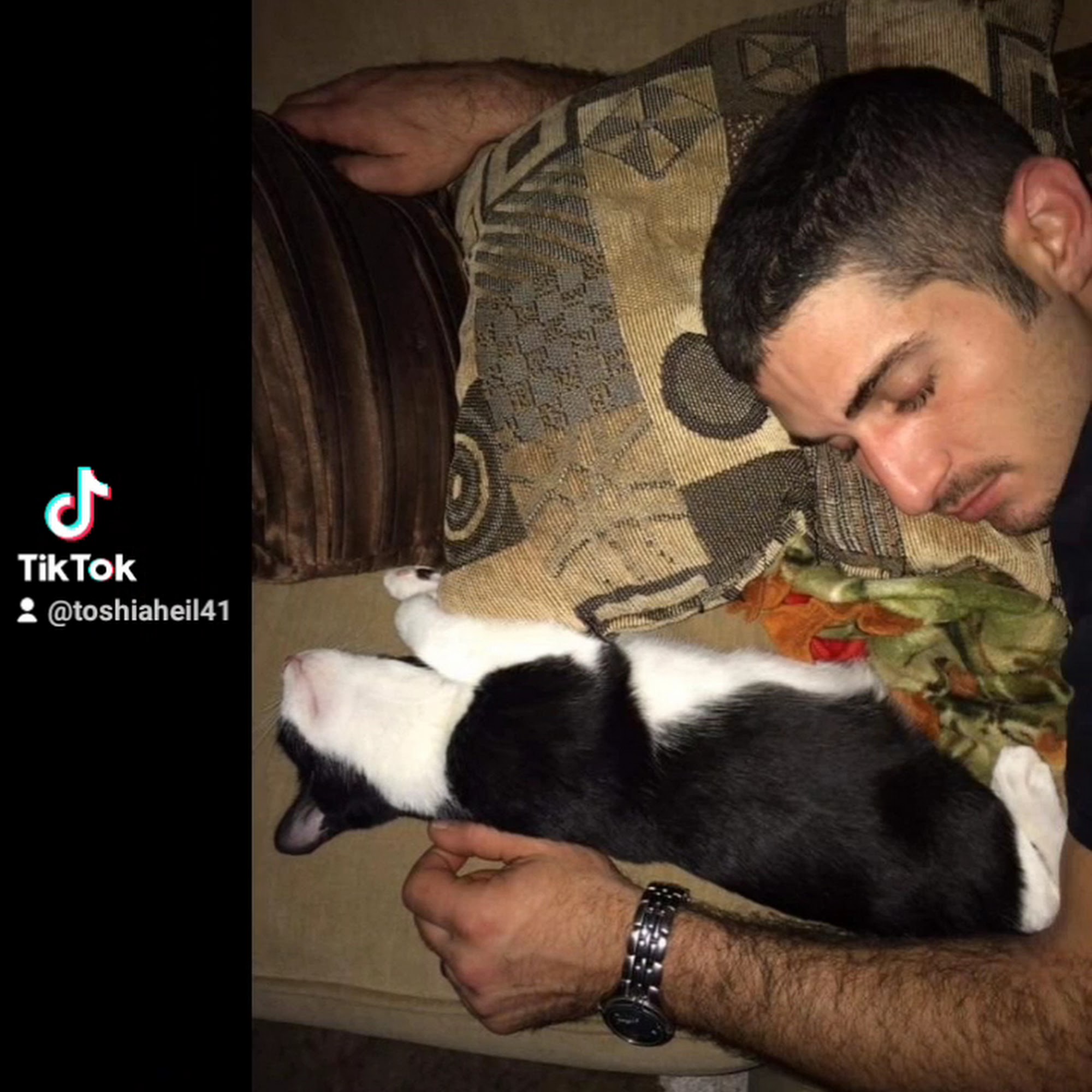 Monroe Veterinary Clinic Monroe