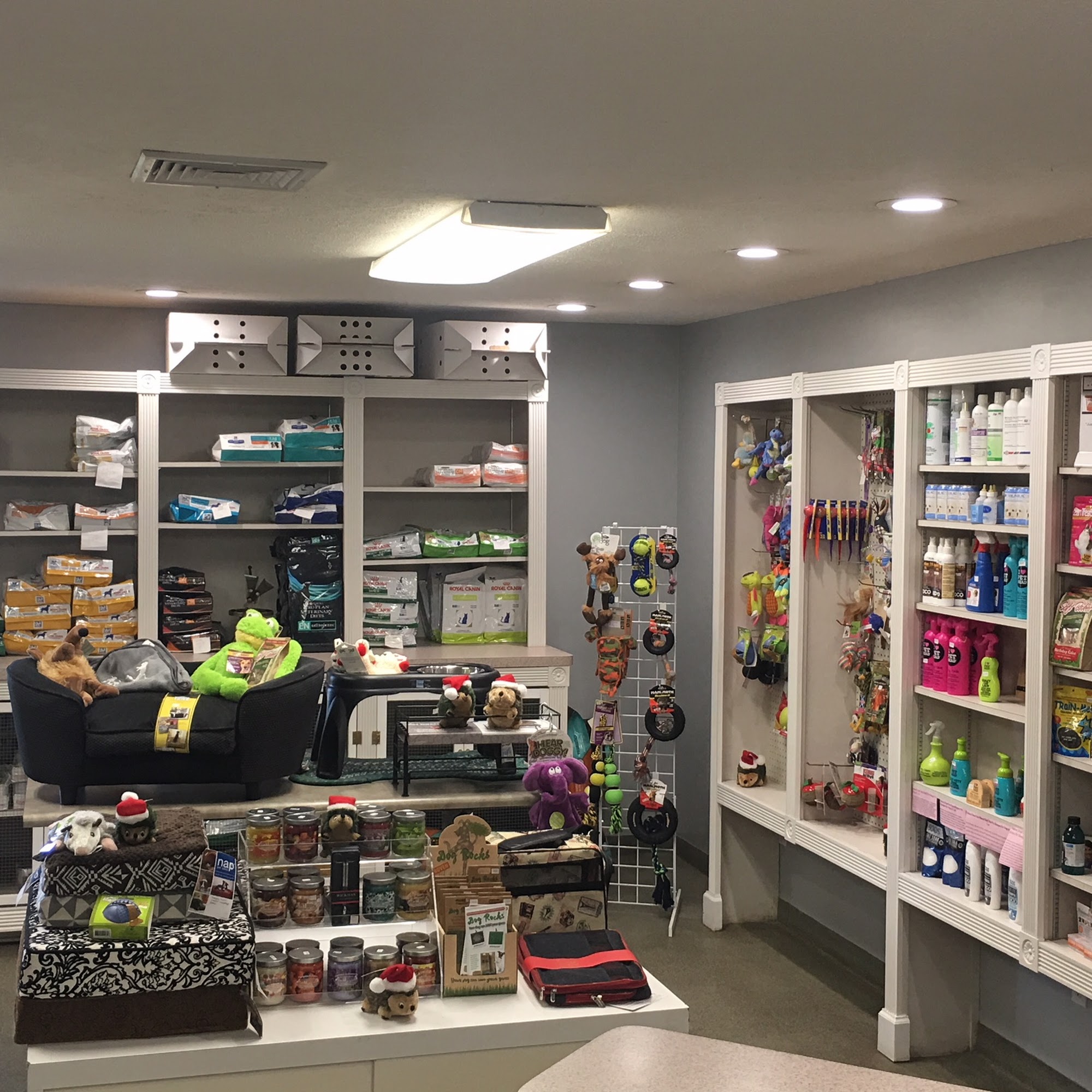 Southside Veterinary Center Moultrie