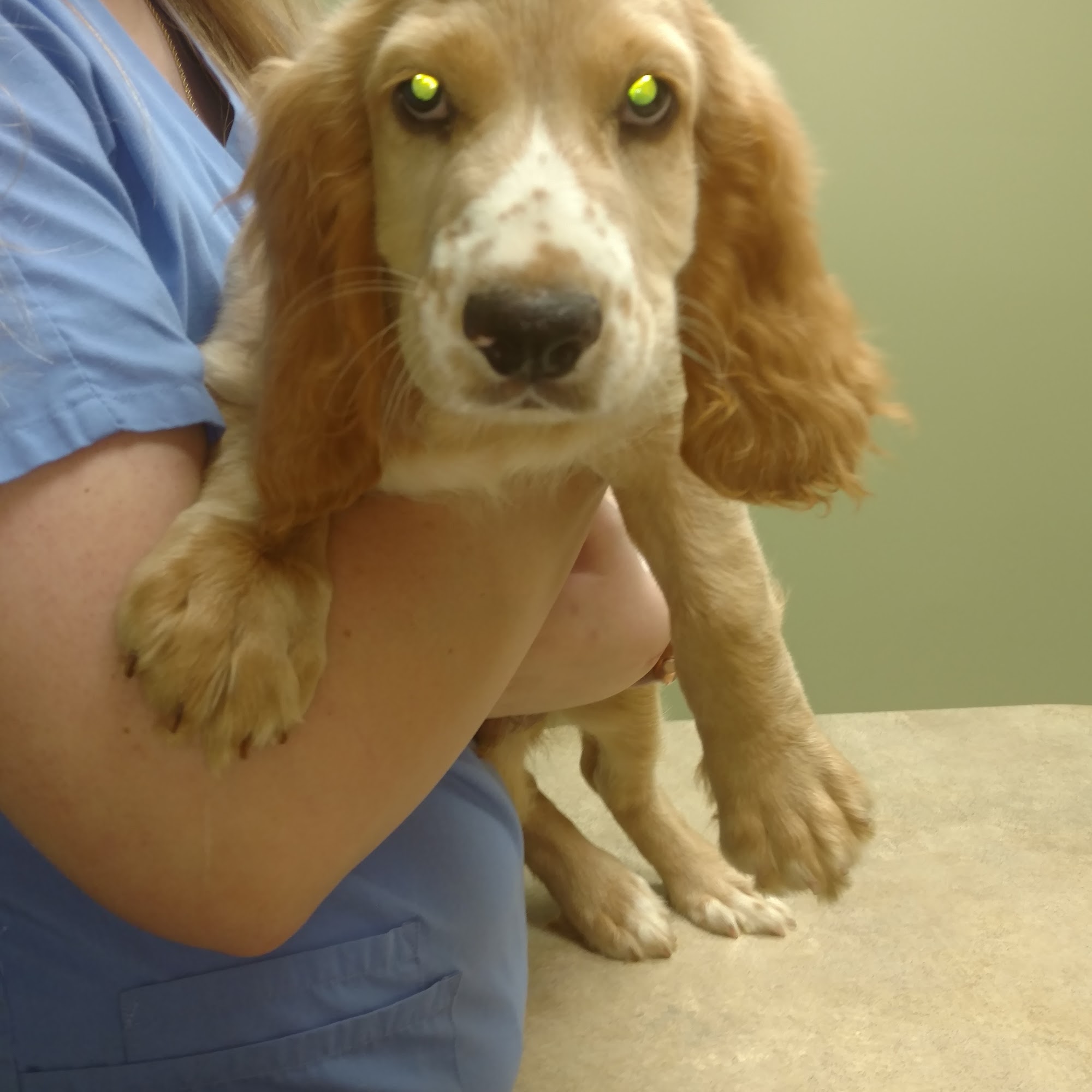 Dr. Jimmy "Doc" Matthews Moultrie