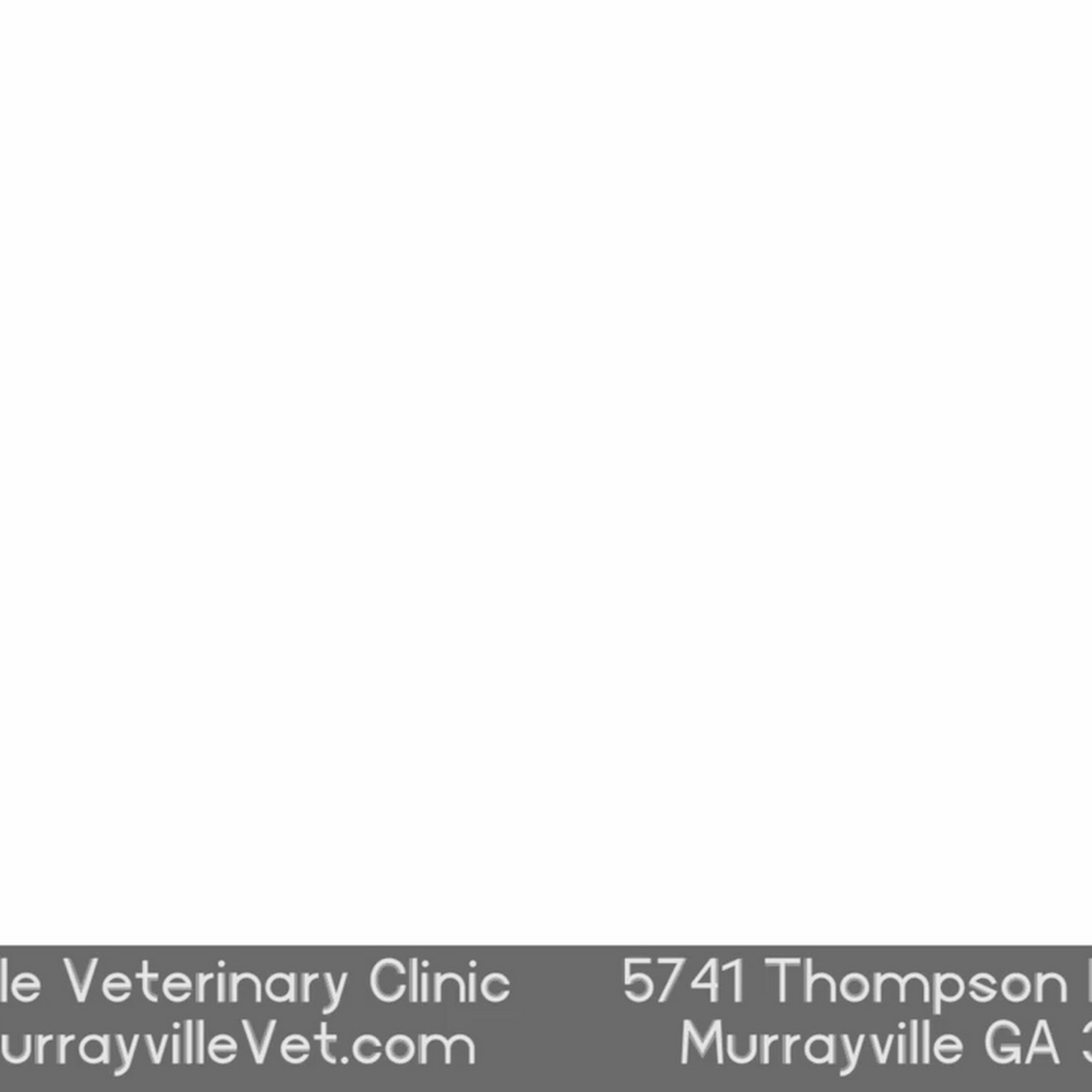 Murrayville Veterinary Clinic Murrayville