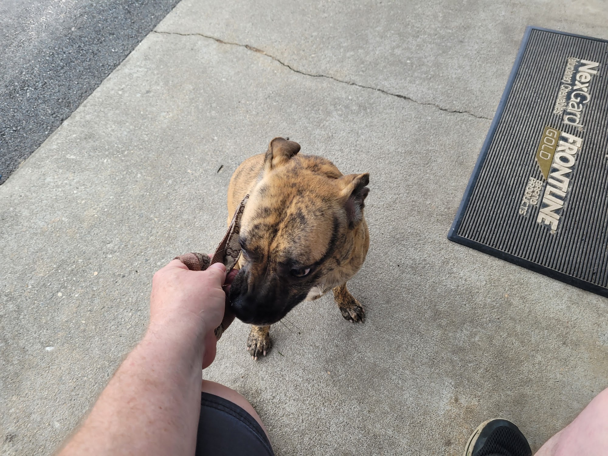 Branch's Veterinary Clinic Nashville