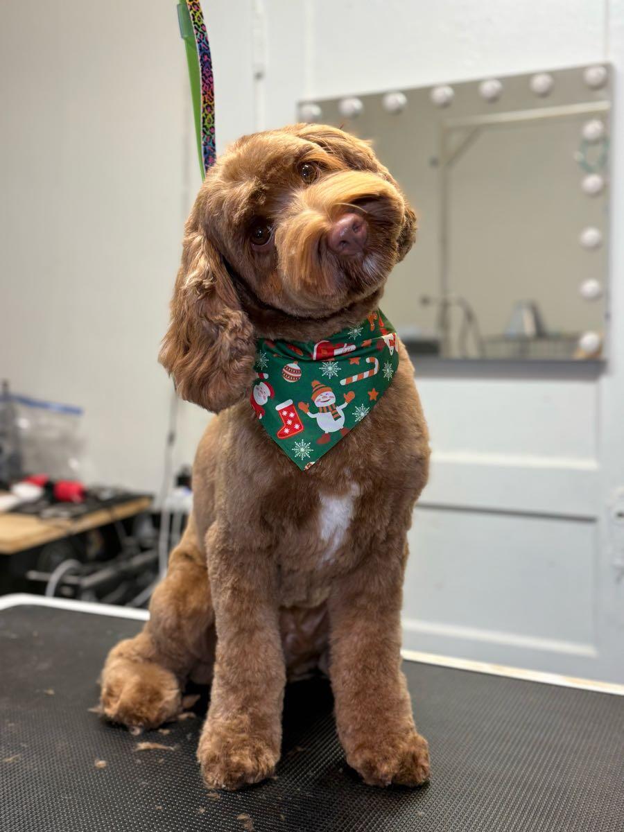 Photo credit: nextdoor