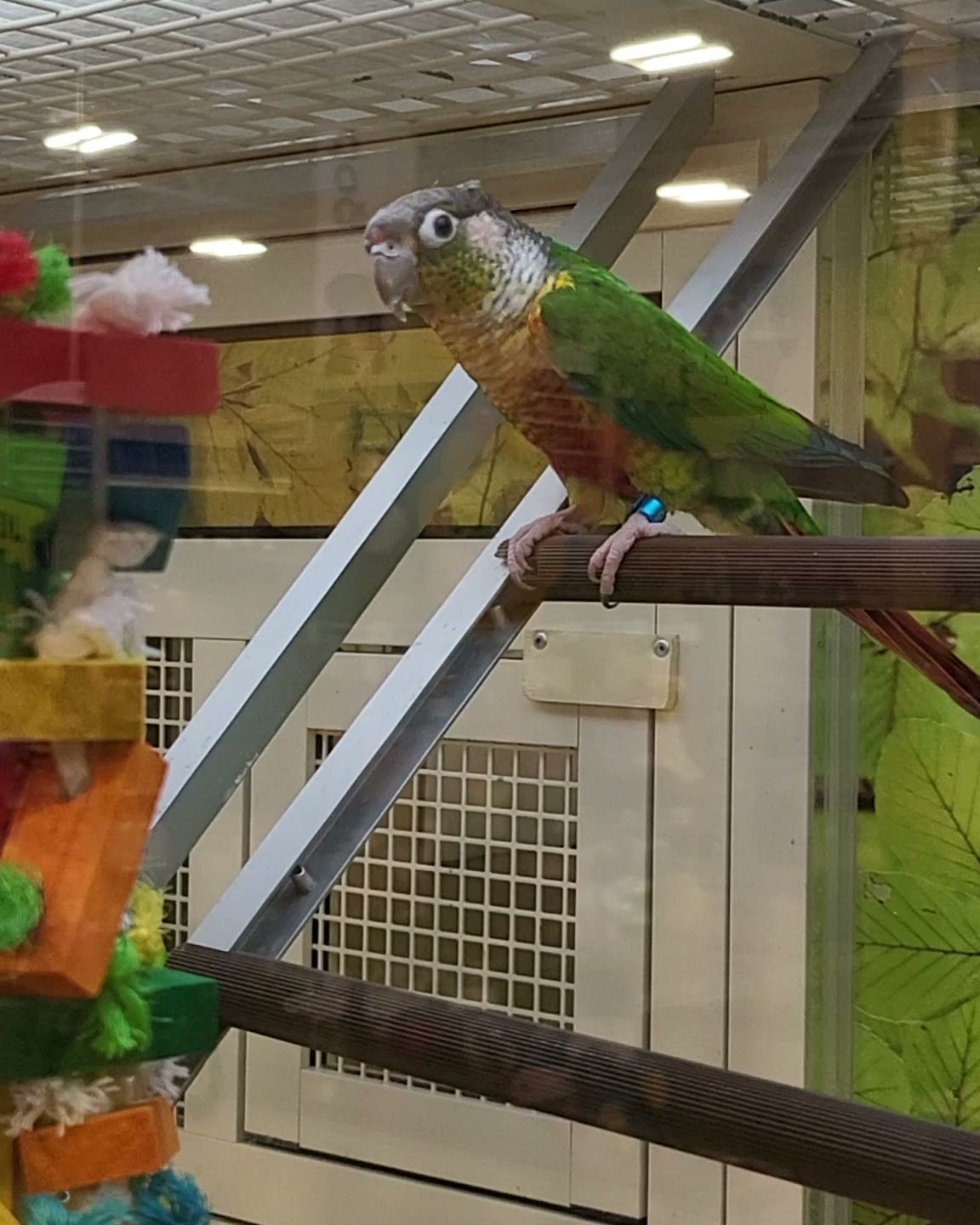 PetSmart Peachtree City