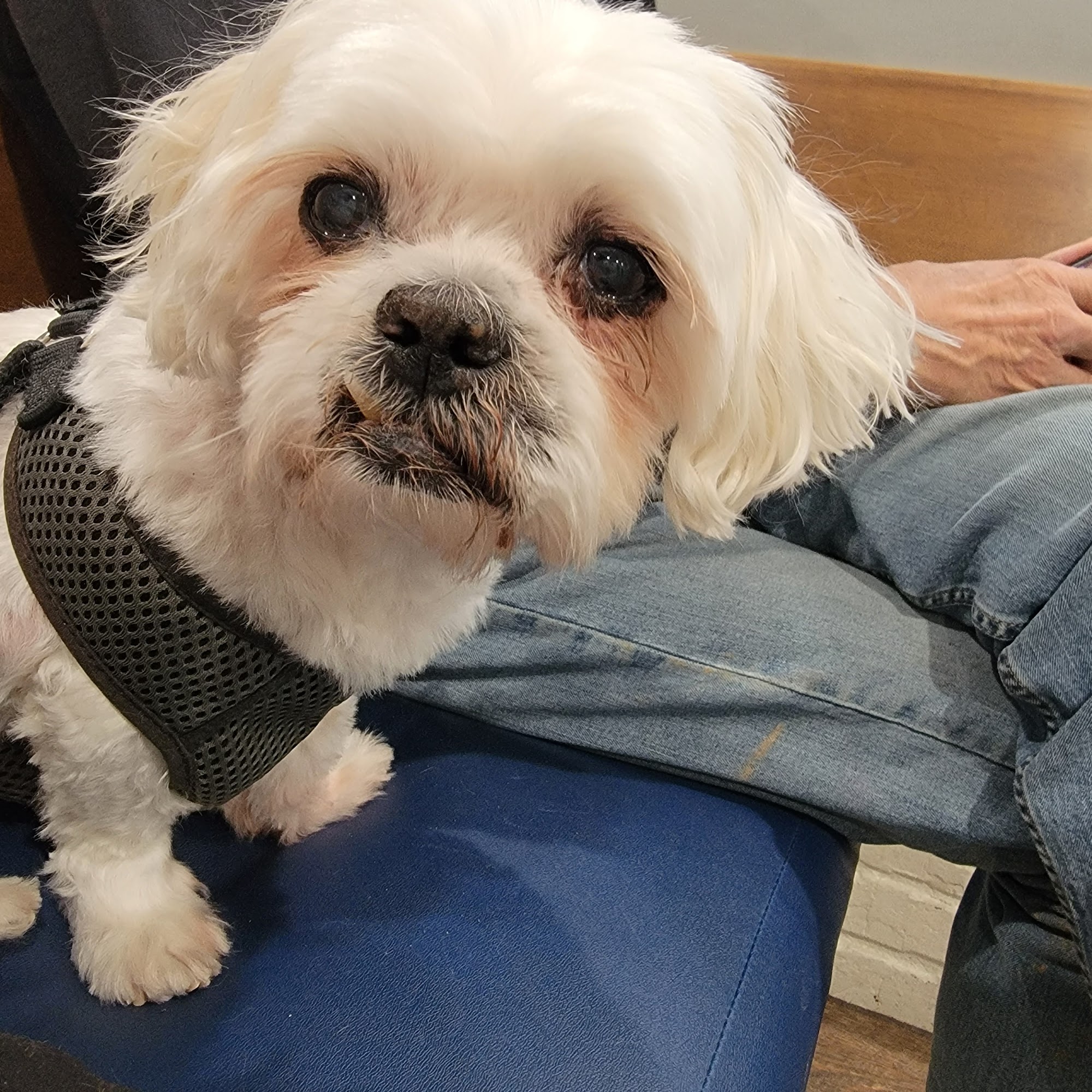 Flat Creek Animal Clinic Peachtree City