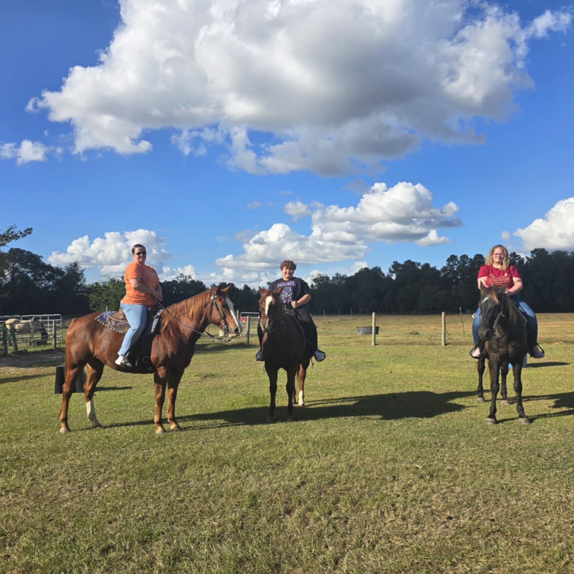 Rockin N Stables Pelham