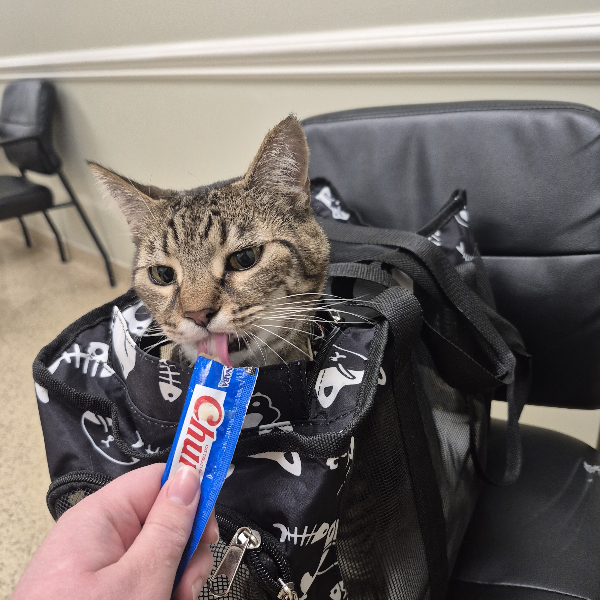 Westmoreland & Slappey Animal Hospital Perry