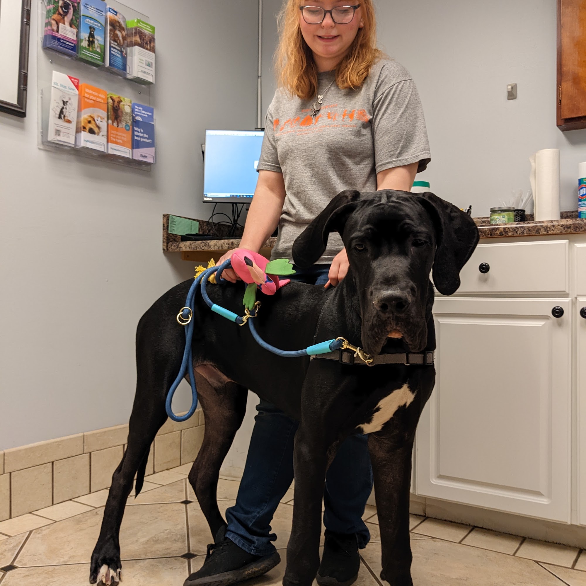 Smith Animal Hospital - Perry Perry