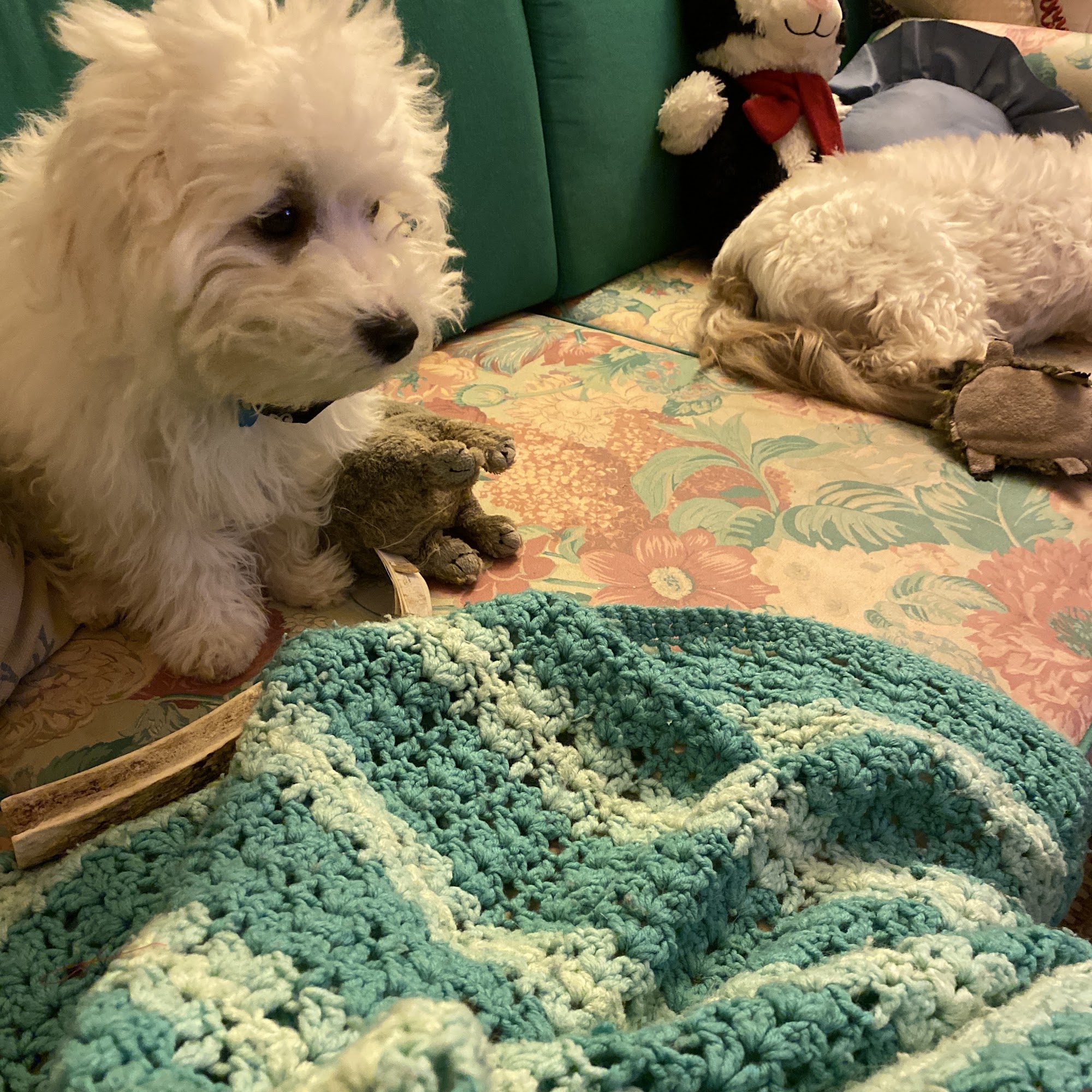 Perry Animal Hospital Perry