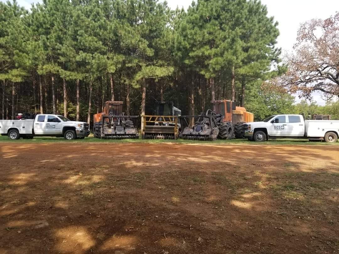 Brush Clearing Services, LLC Pine Mountain