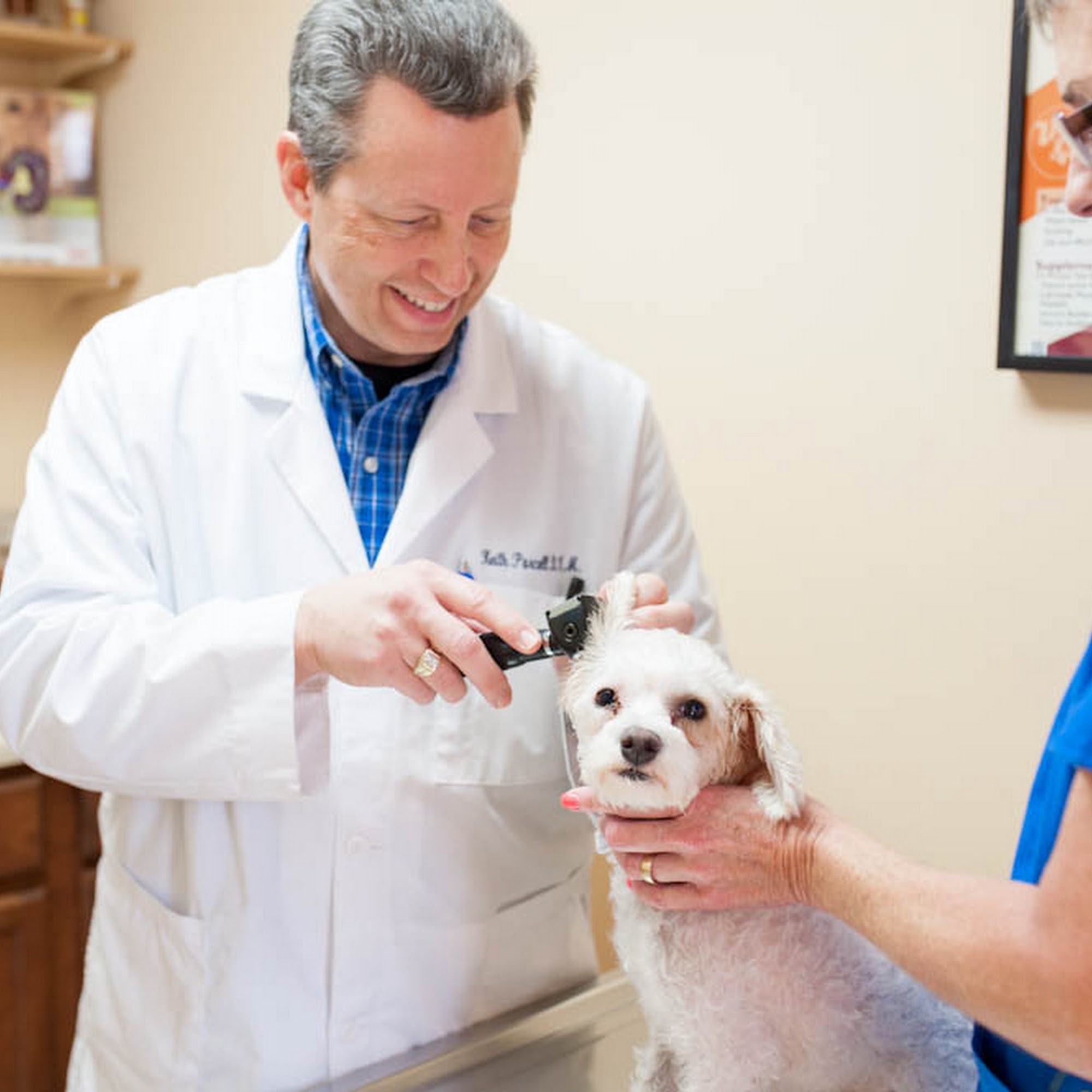 Westside Animal Hospital Pooler