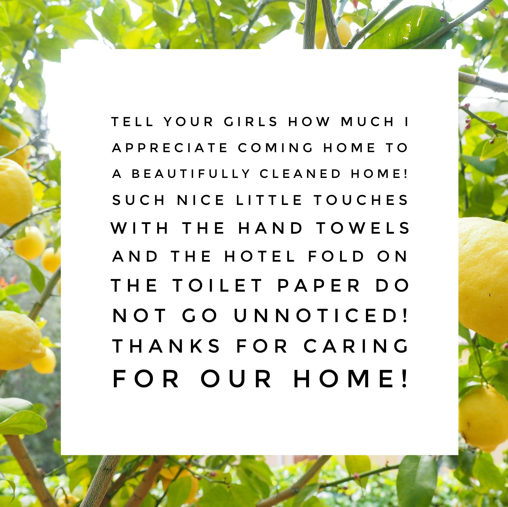 WELCOME HOME CLEANING