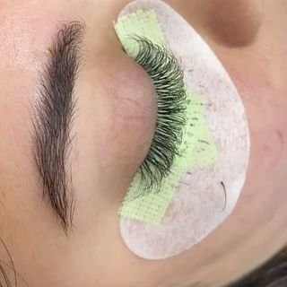 The Beauty Blueprint