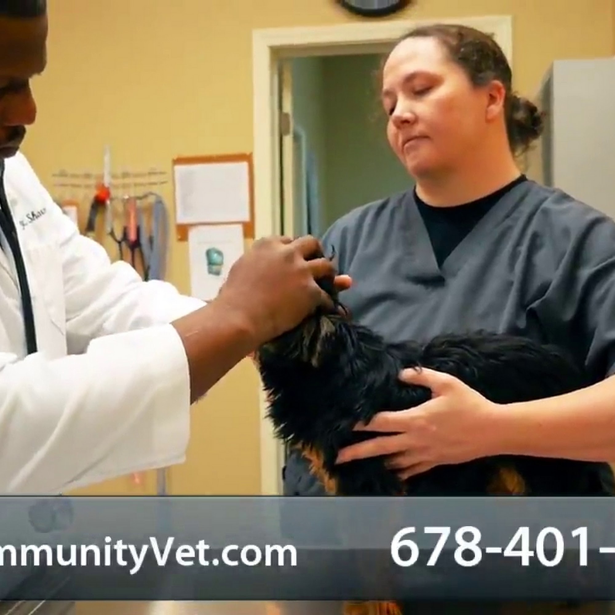 Community Animal Clinic Powder Springs