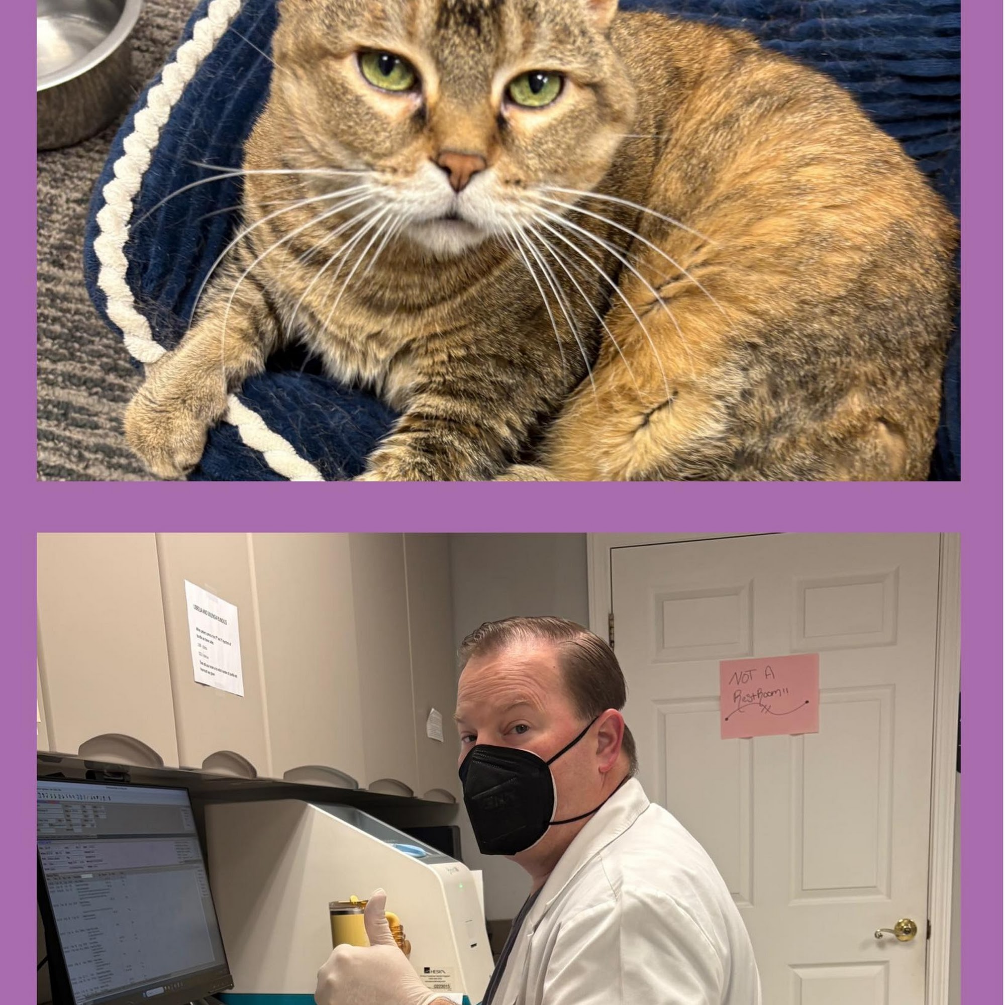 Dallas Highway Animal Hospital Powder Springs