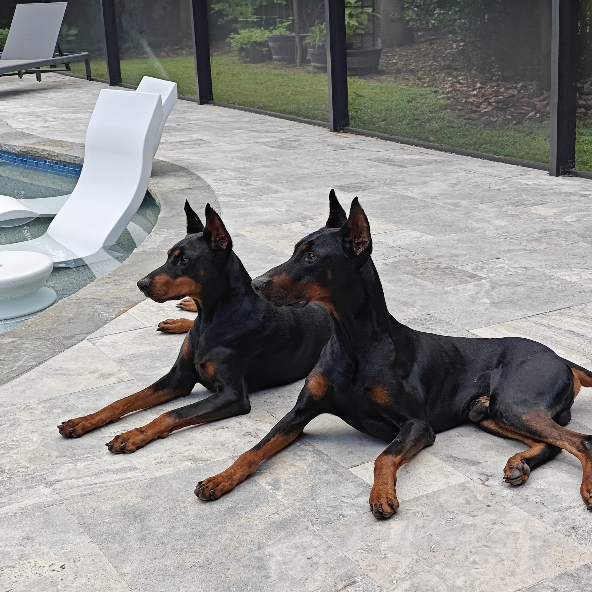 Bassham Veterinary Hospital Quitman