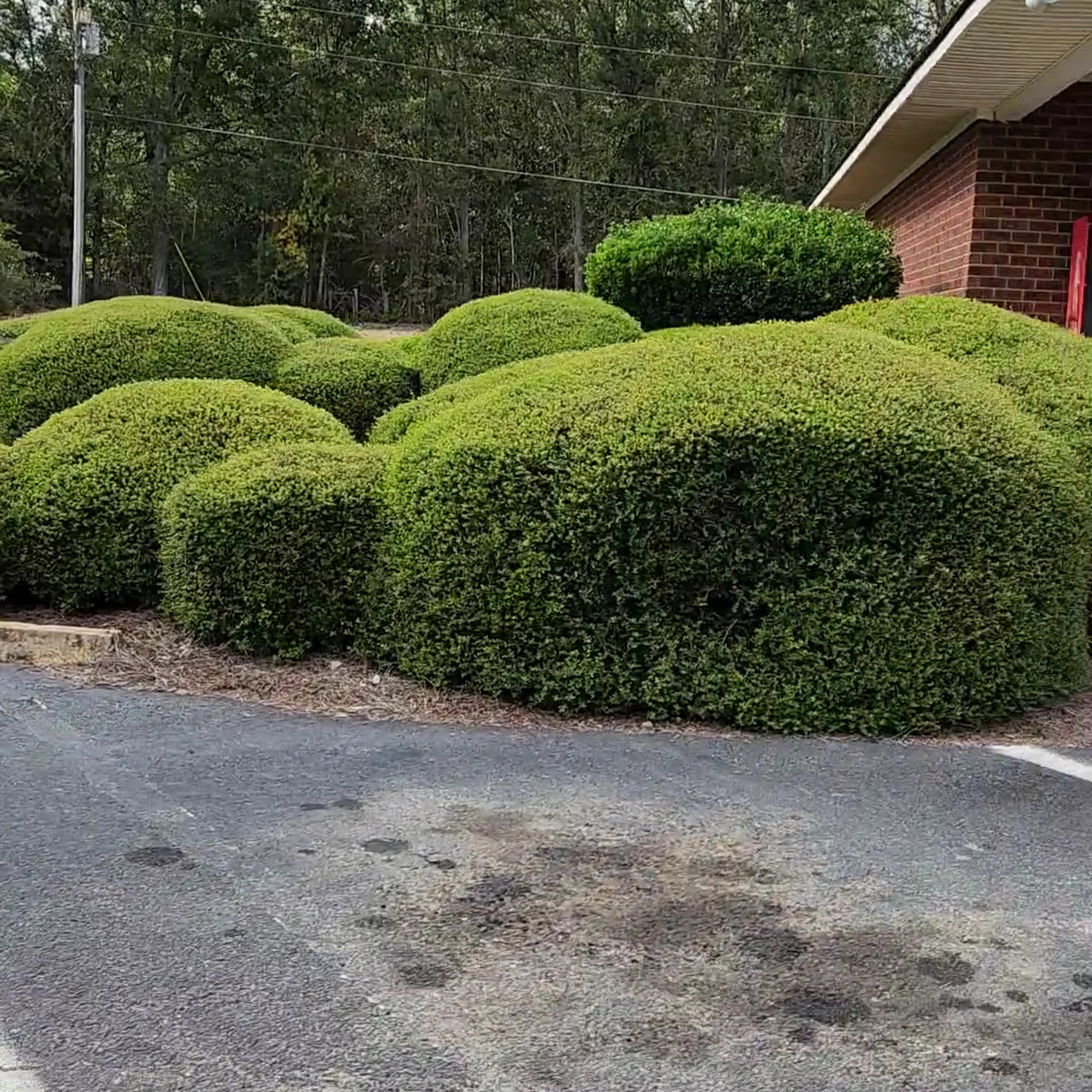 Optim Primary Care - Reidsville