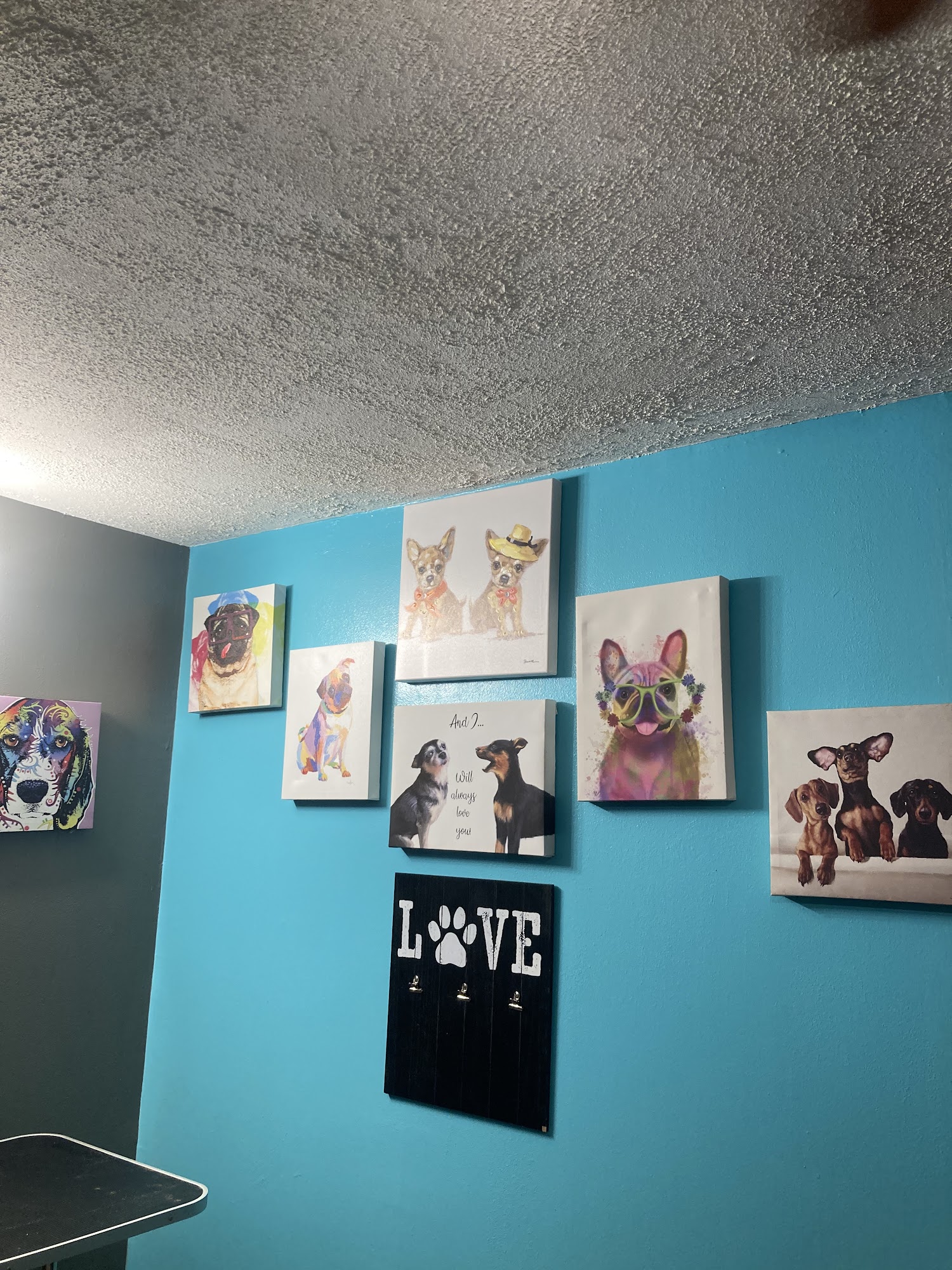 Paws to the Wall, llc Rincon