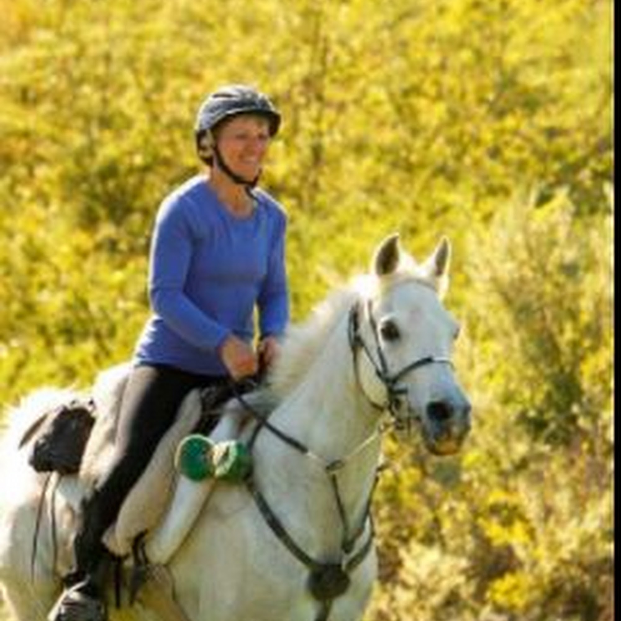 Crossroads Equine Veterinary Services, LLC Ringgold