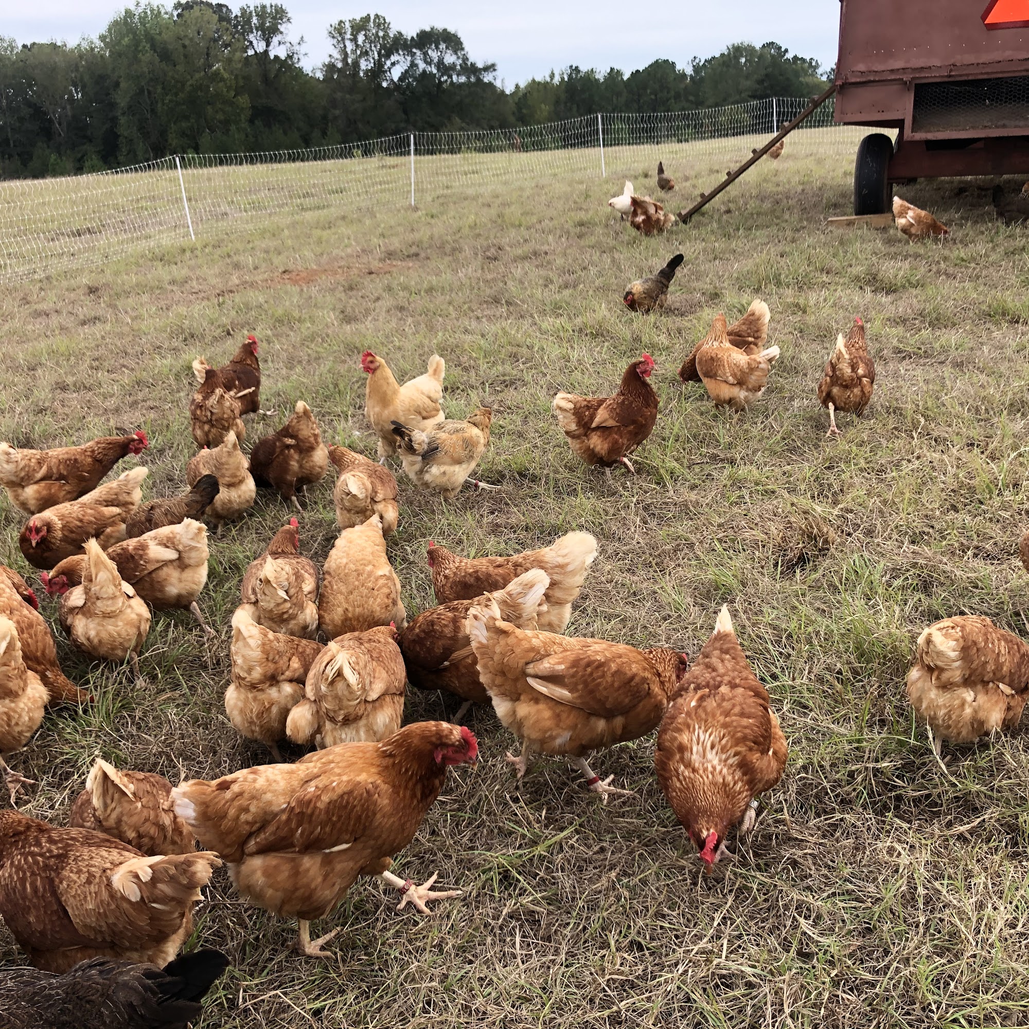 Greenway Farms of Georgia, LLC Roberta