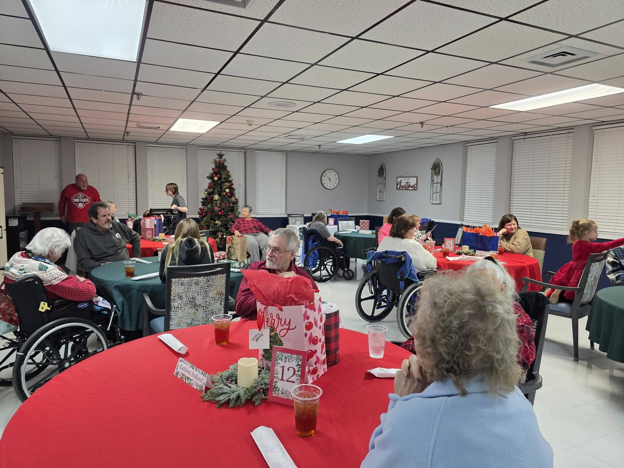 Rockmart Health: Post-Acute Nursing & Rehabilitation 528 Hunter St, Rockmart Georgia 30153