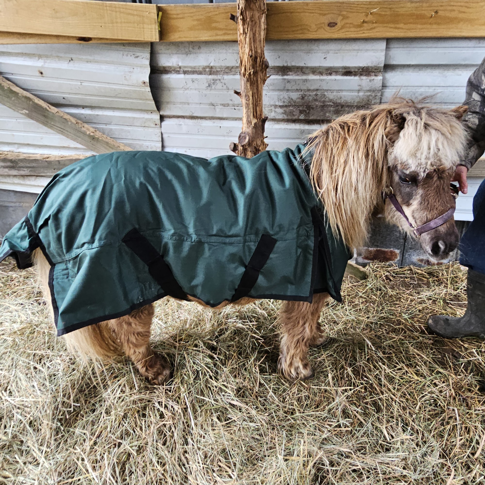 Double D Stables Feed & Tack Rocky Face