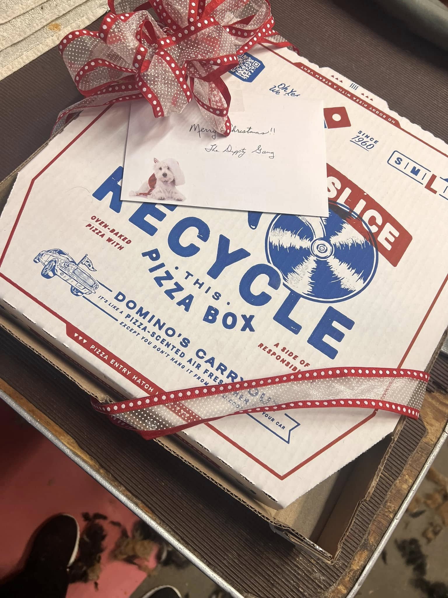 Dippity Do-Da Dogs Rome