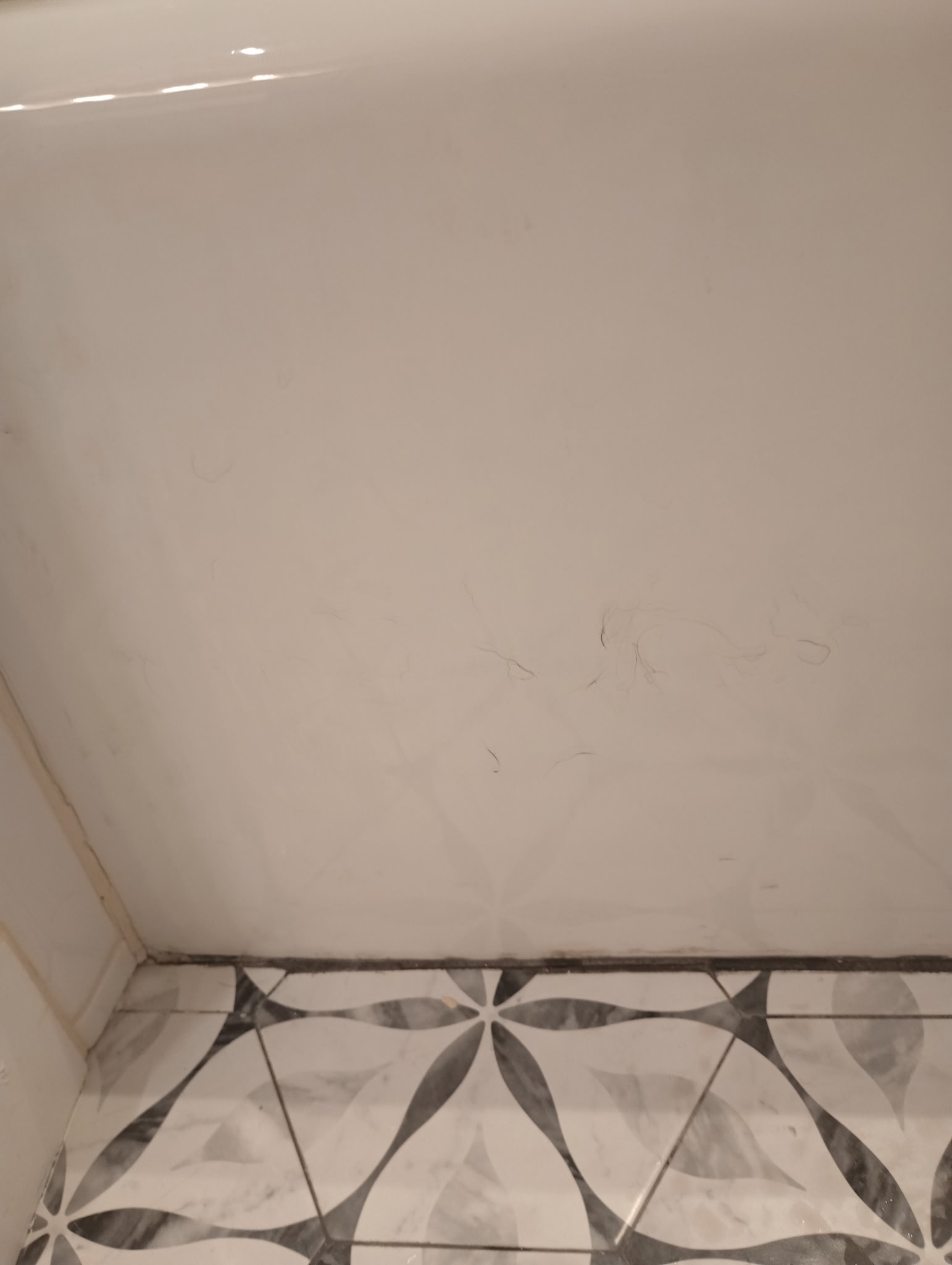 Detail Cleaning Service