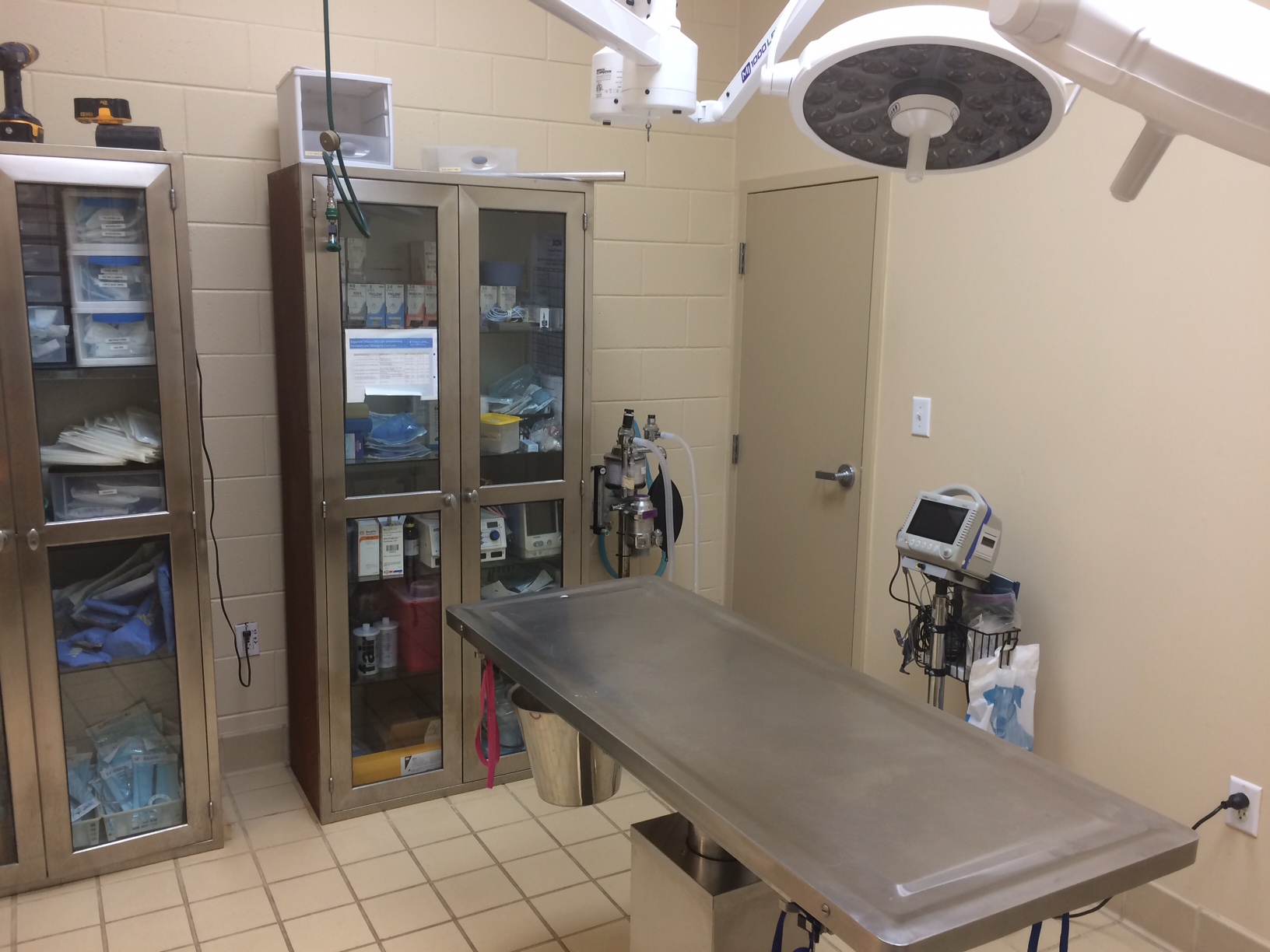 VCA Pets Are People Too Roswell Animal Hospital Roswell