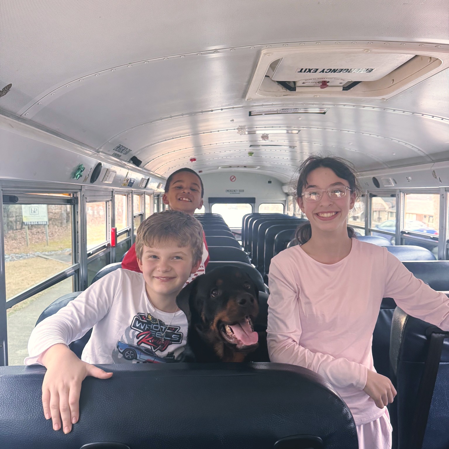 Paw Patch Animal Clinic Roswell