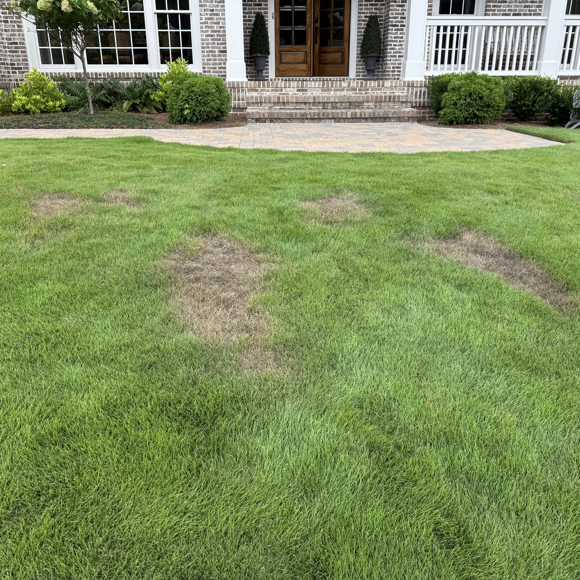 Dutch Masters Painting