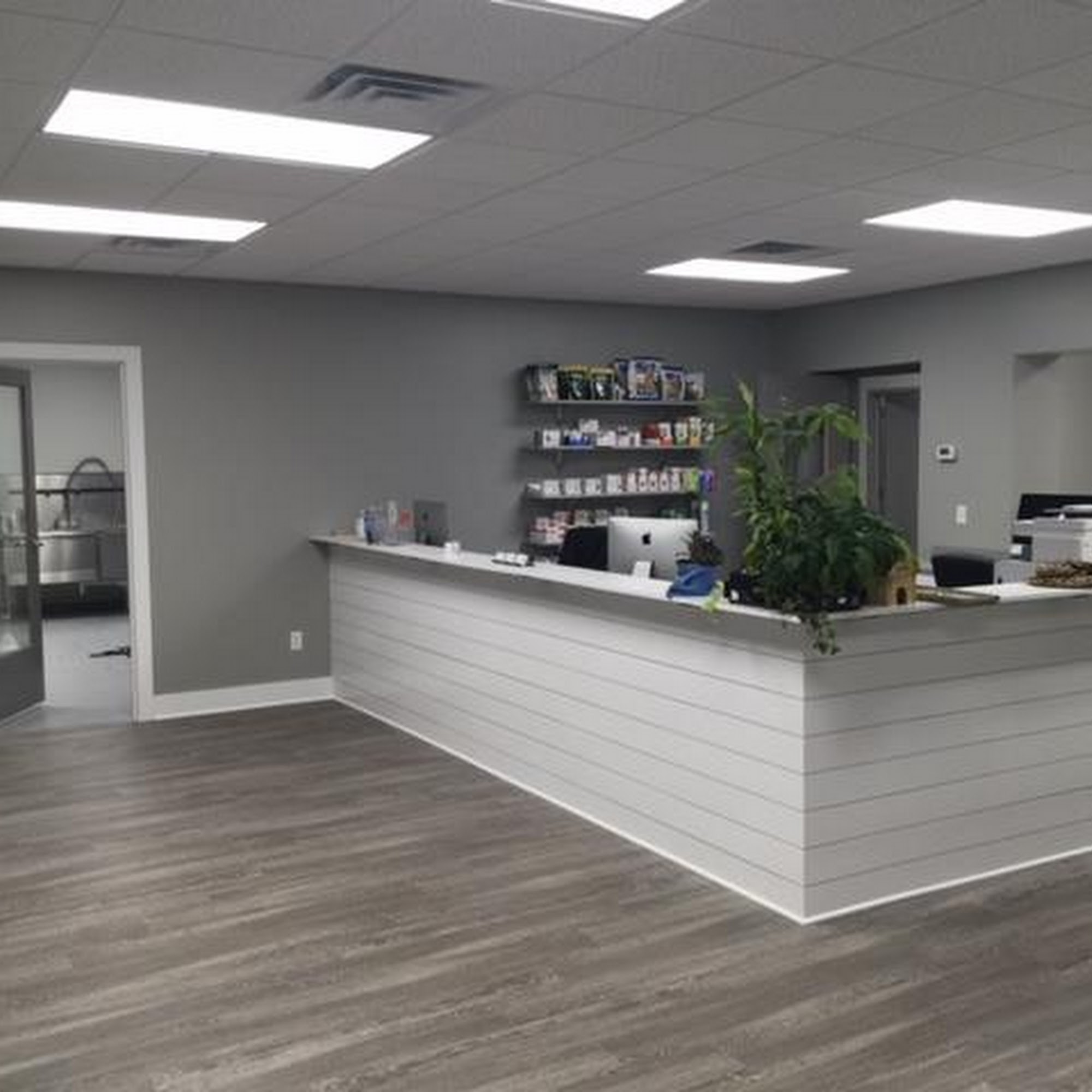 Seaside Veterinary Hospital Saint Simons Island