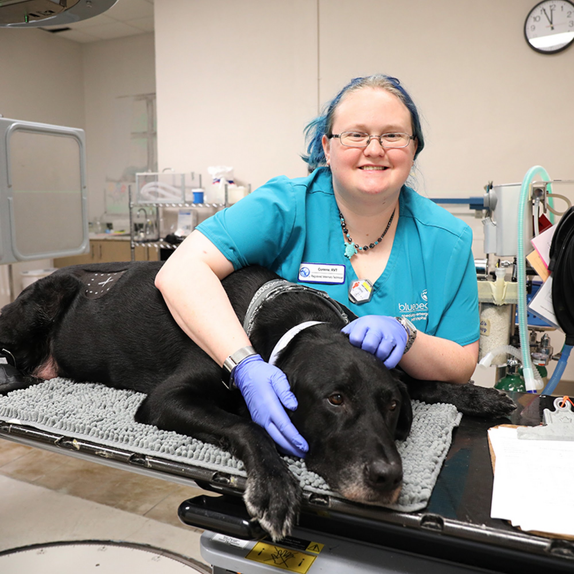 BluePearl Pet Hospital Sandy Springs