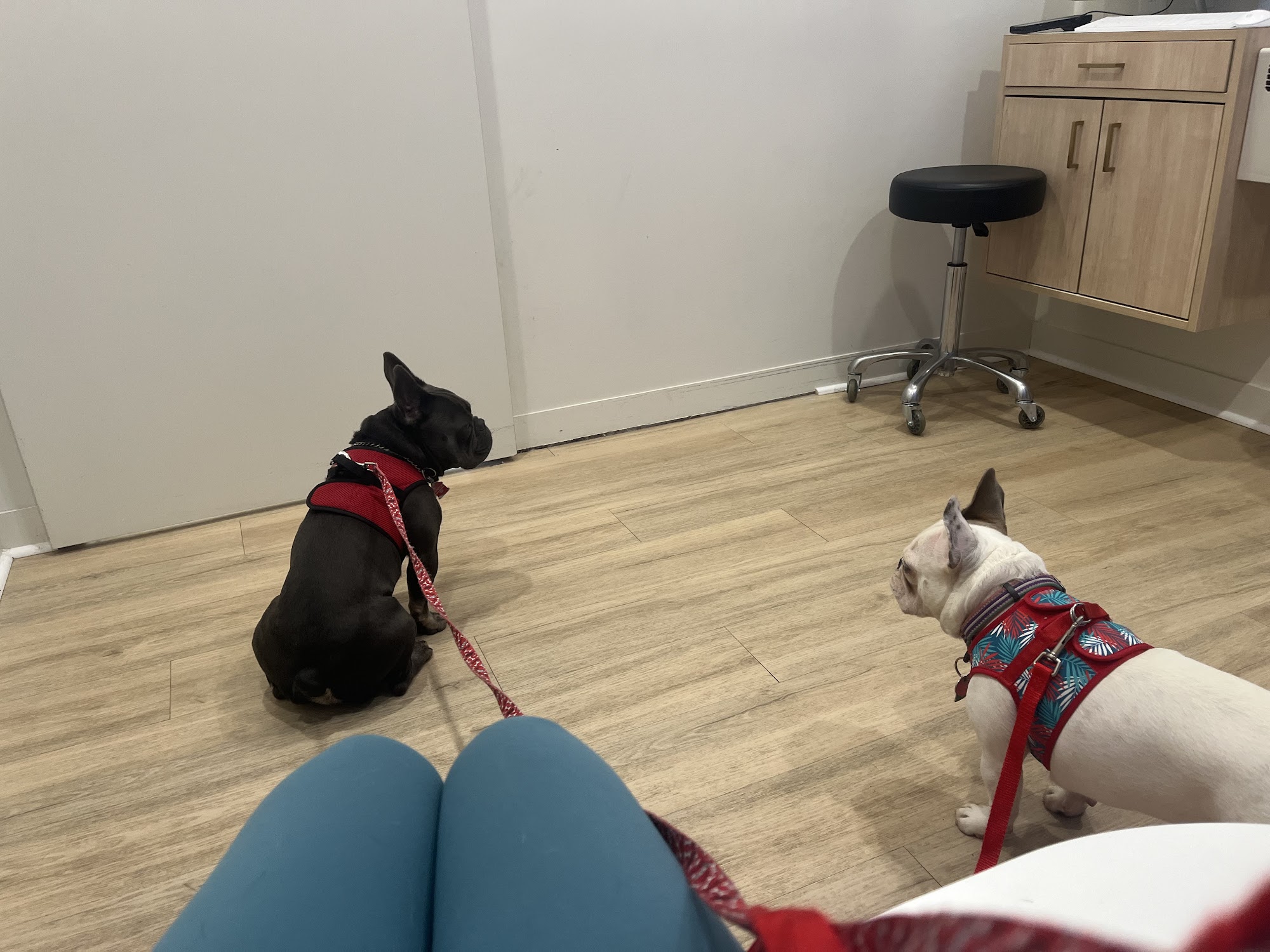 Petfolk Veterinary & Urgent Care Sandy Springs